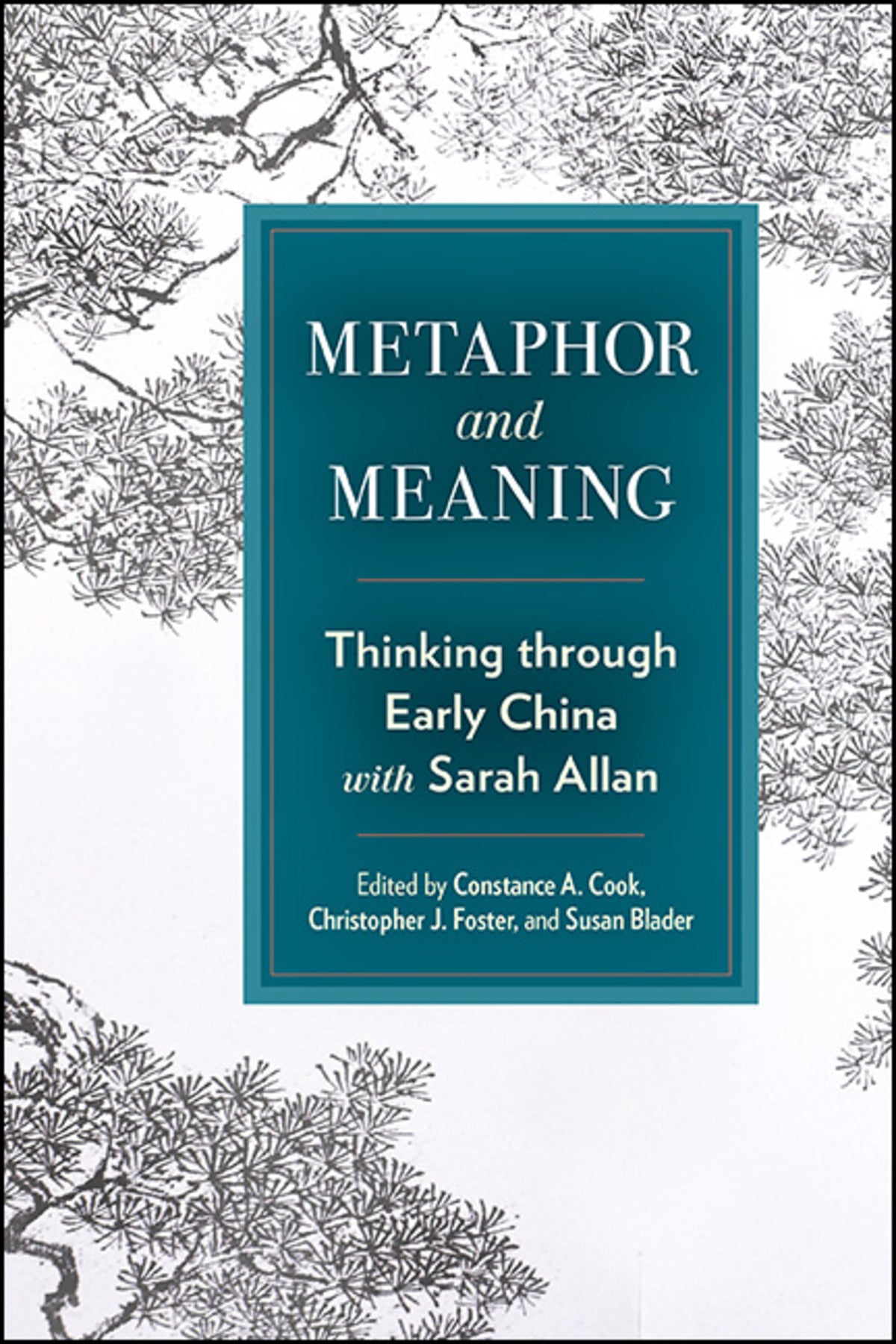Cover image for Metaphor and Meaning ISBN 9781438498300