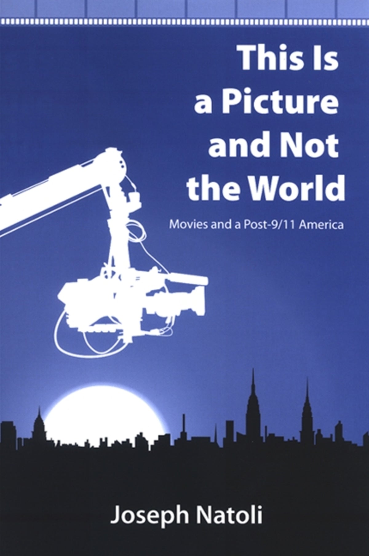 Cover image for This Is a Picture and Not the World ISBN 9780791470275