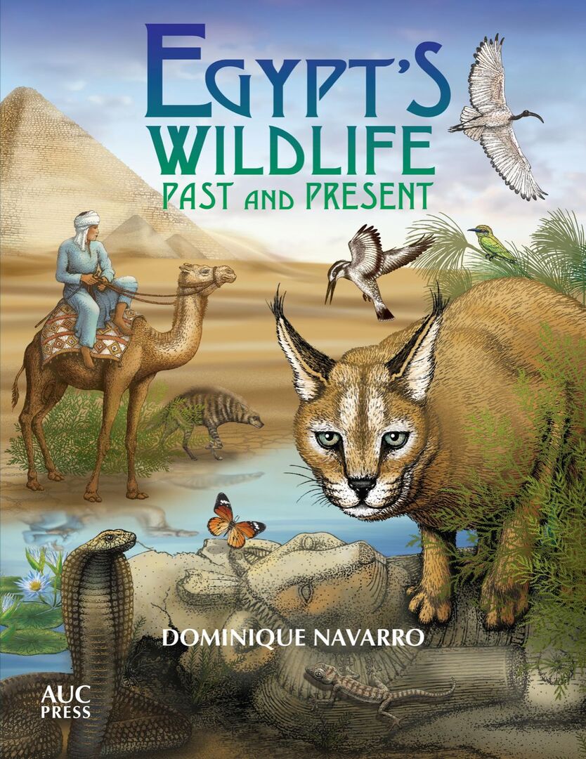 Cover image for Egypt's Wildlife ISBN 9789774167676