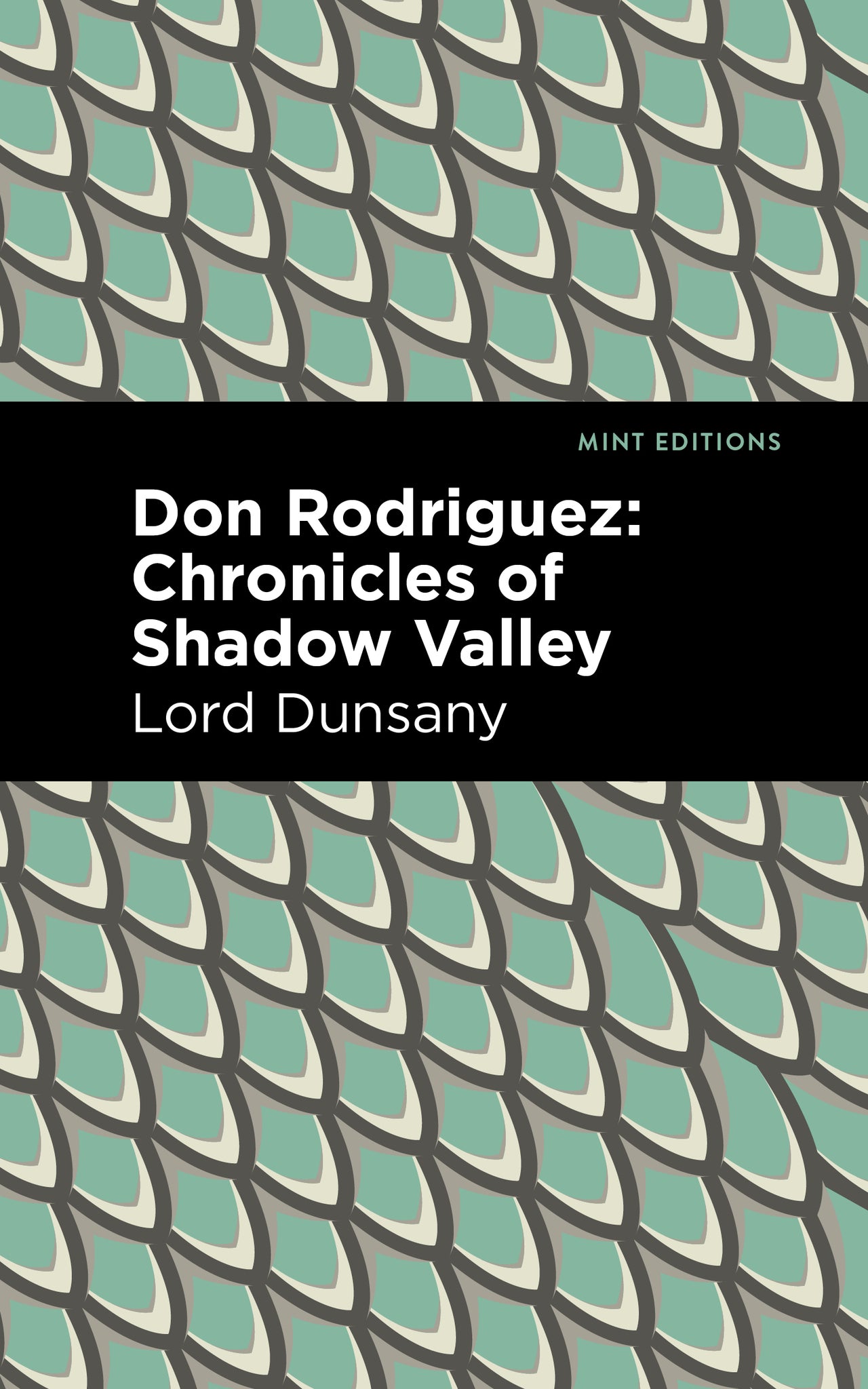 Cover image for Don Rodriguez ISBN 9781513282794