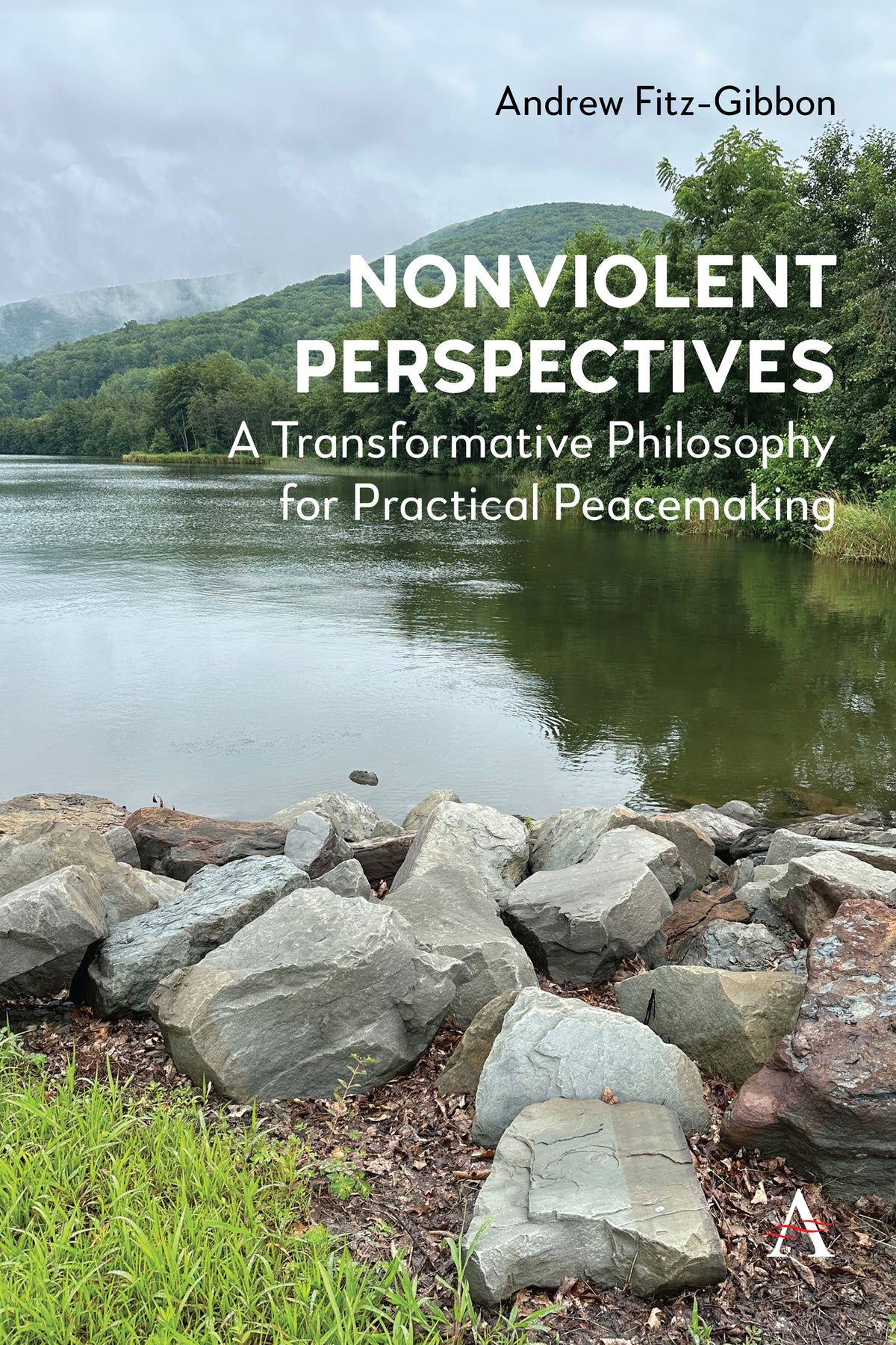 Cover image for Nonviolent Perspectives ISBN 9781839994432