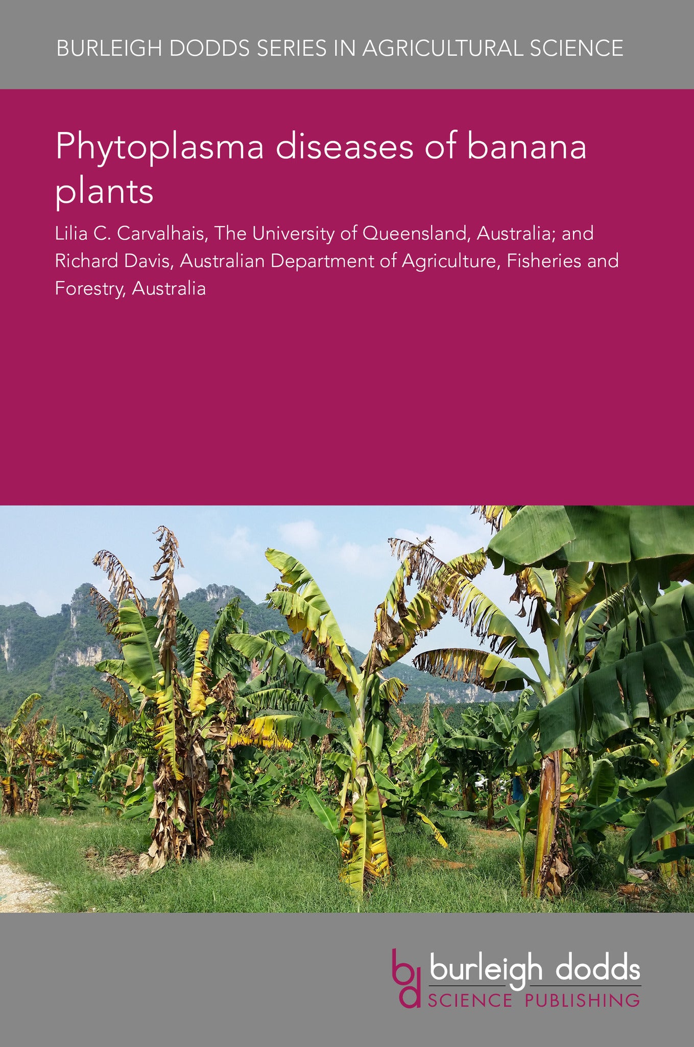 Phytoplasma diseases of banana plants