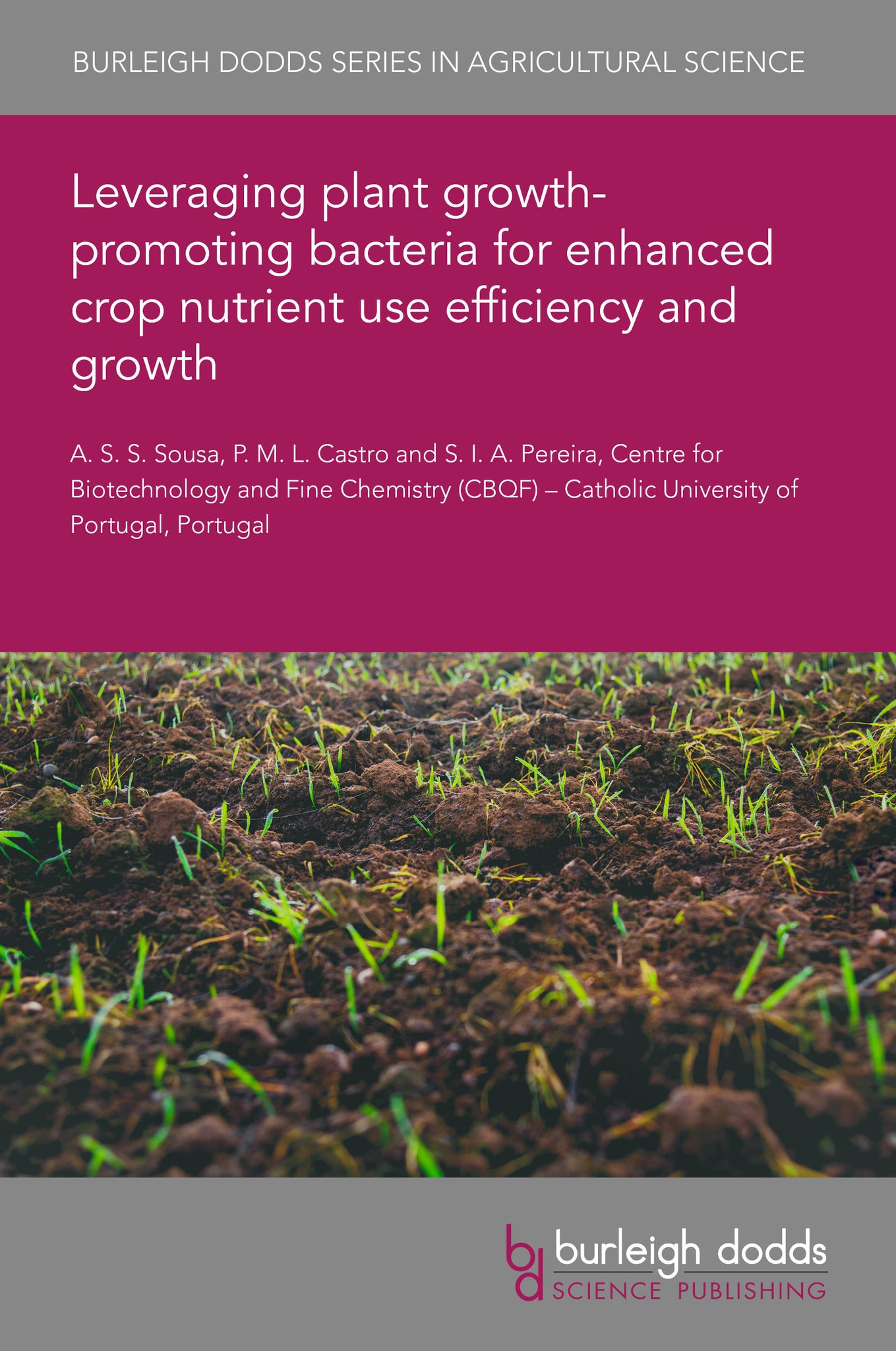 Leveraging plant growth-promoting bacteria for enhanced crop nutrient use efficiency and growth