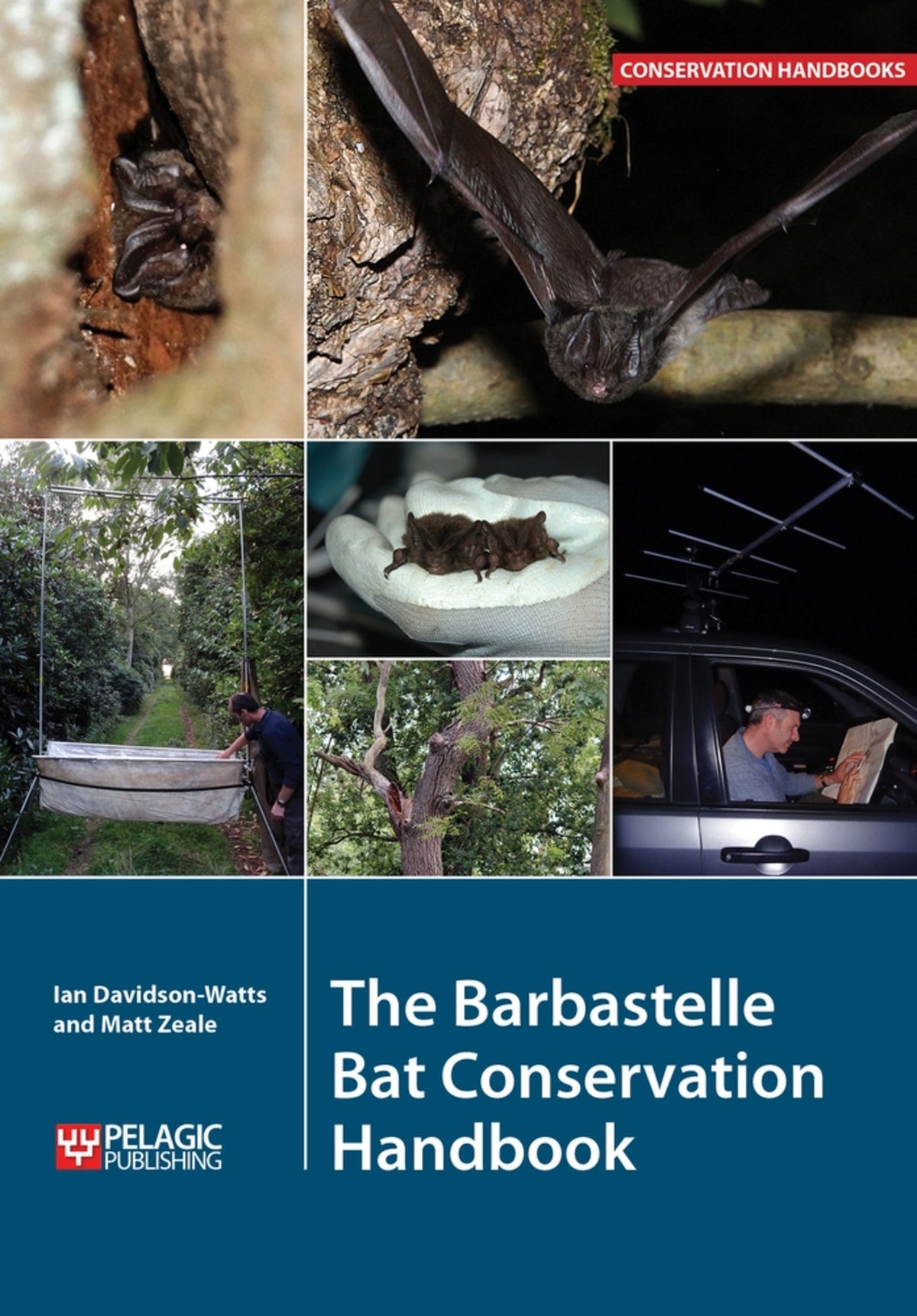Cover image for The Barbastelle Bat Conservation Handbook ISBN 9781784270568