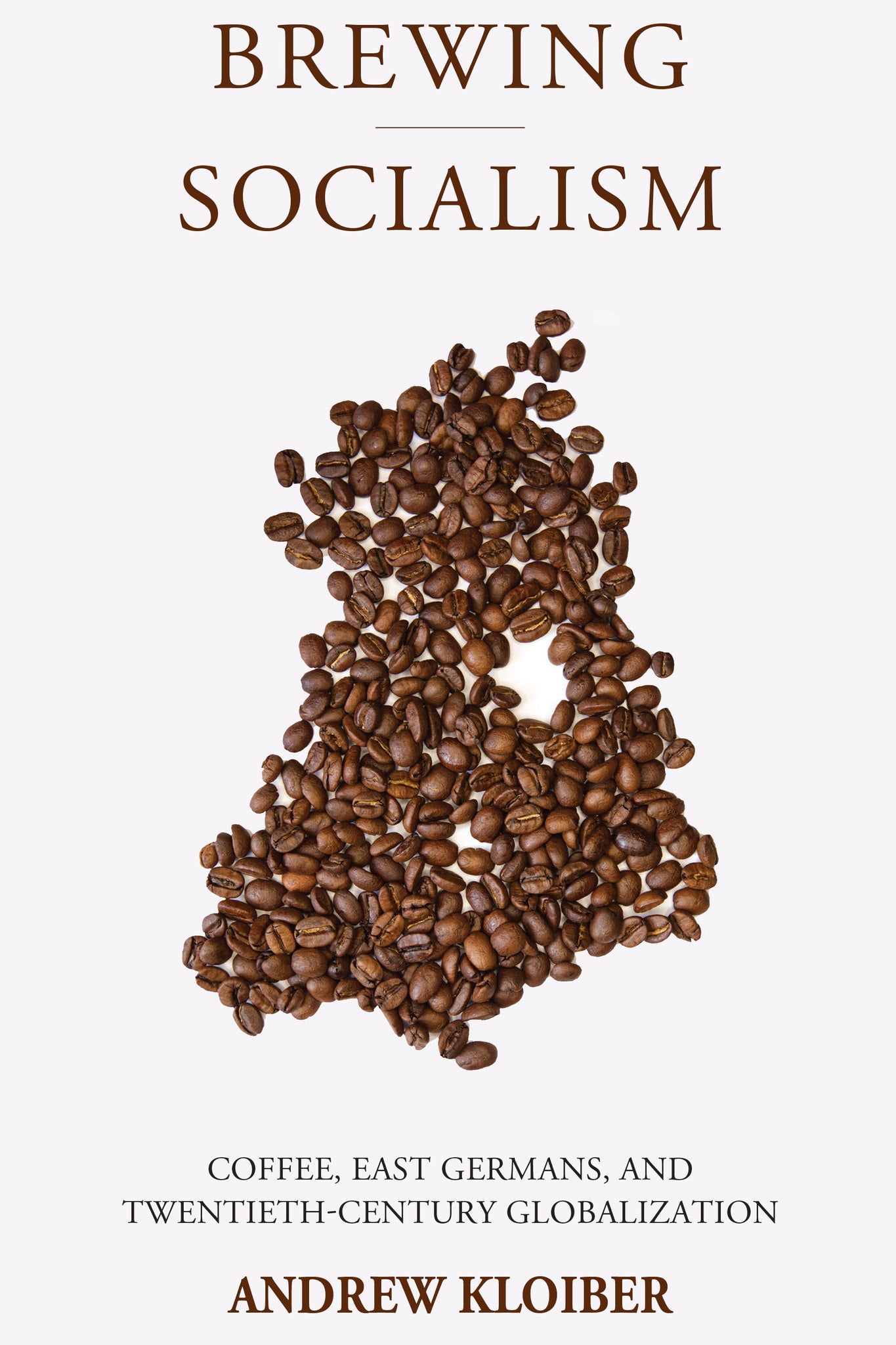 Cover image for Brewing Socialism ISBN 9781807580834