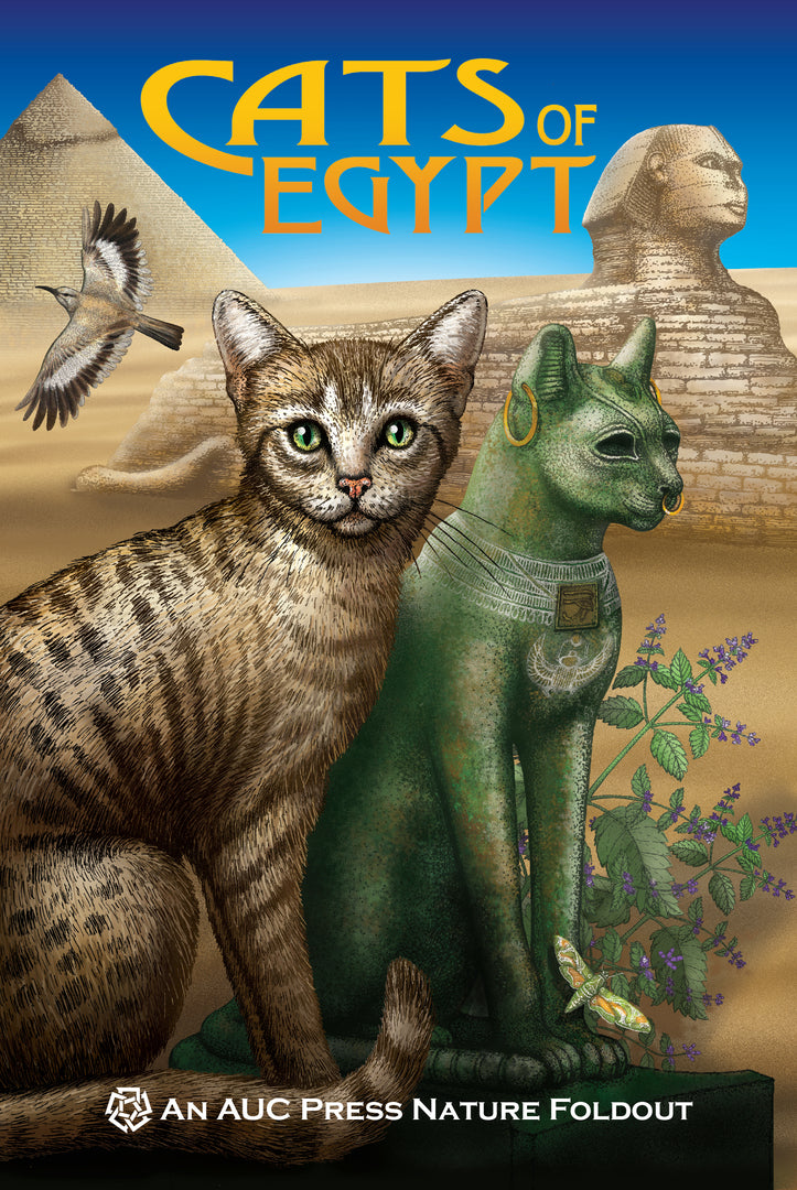 Cover image for Cats of Egypt ISBN 9789774166754