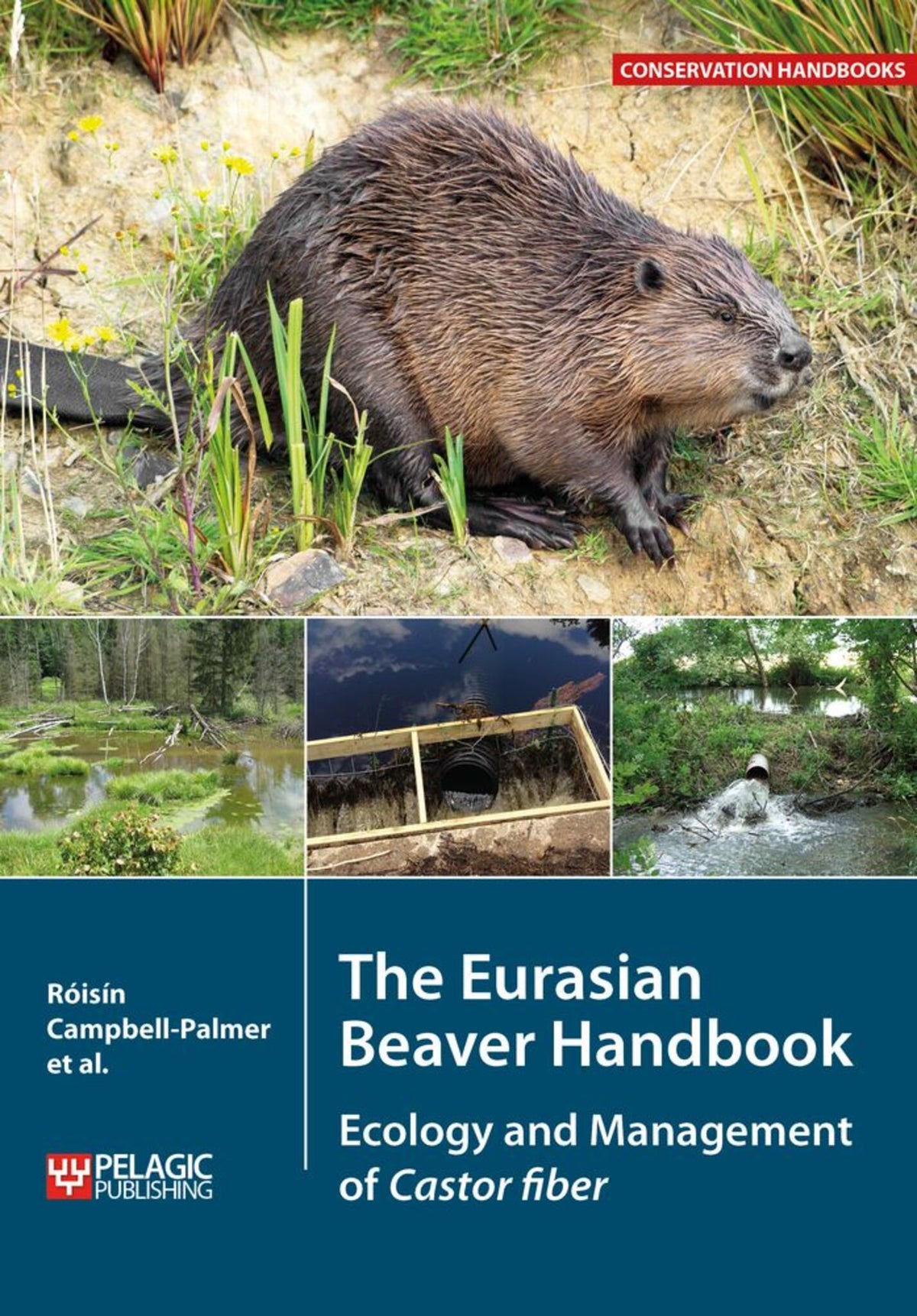 Cover image for The Eurasian Beaver Handbook ISBN 9781784271145