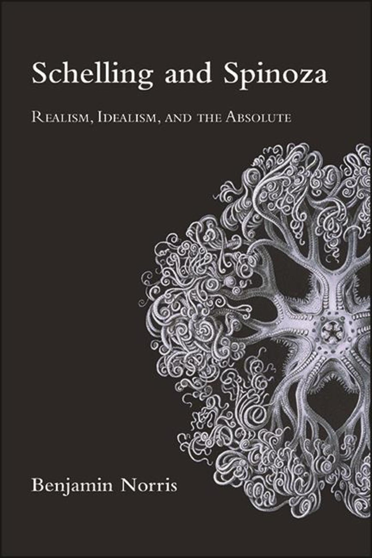 Cover image for Schelling and Spinoza ISBN 9781438489520