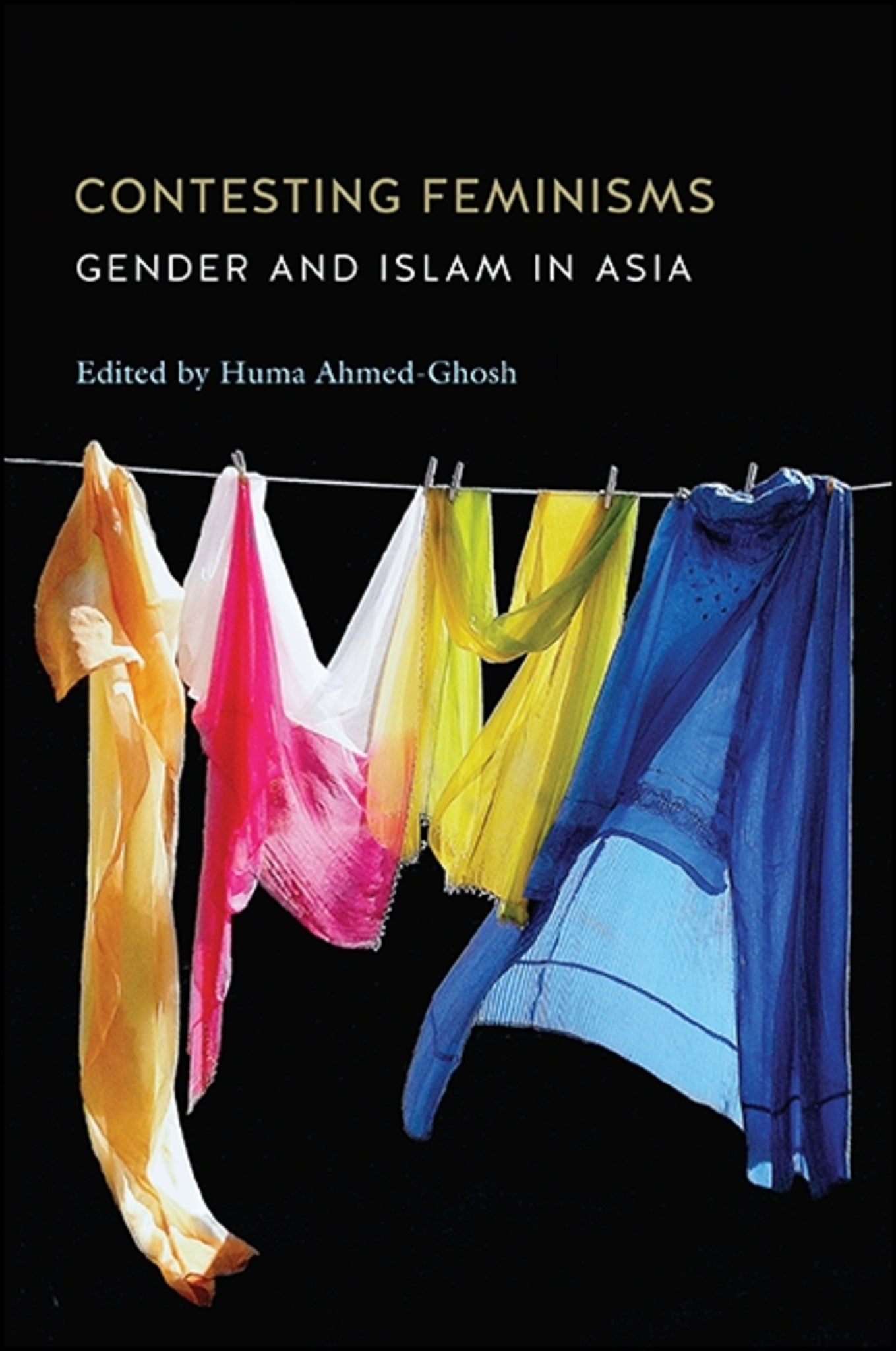 Contesting Feminisms