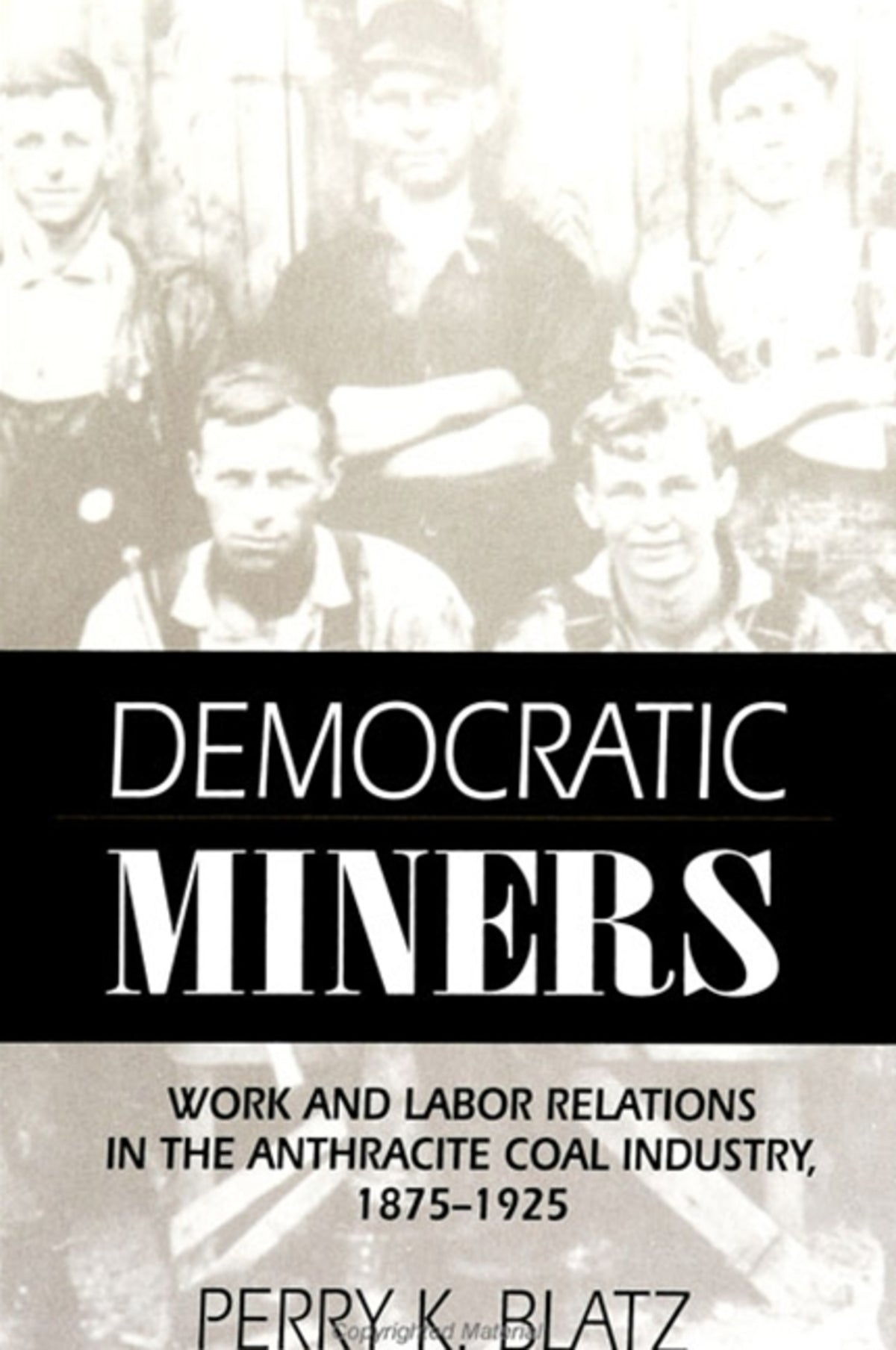 Cover image for Democratic Miners ISBN 9780791418208