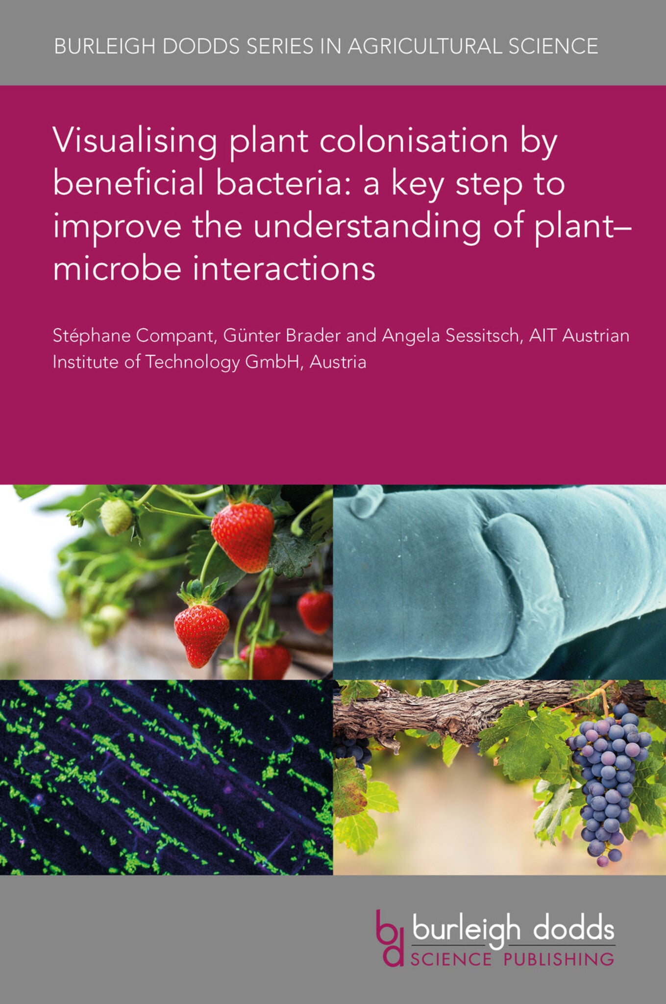 Visualising plant colonisation by beneficial bacteria: a key step to improve the understanding of plant–microbe interactions