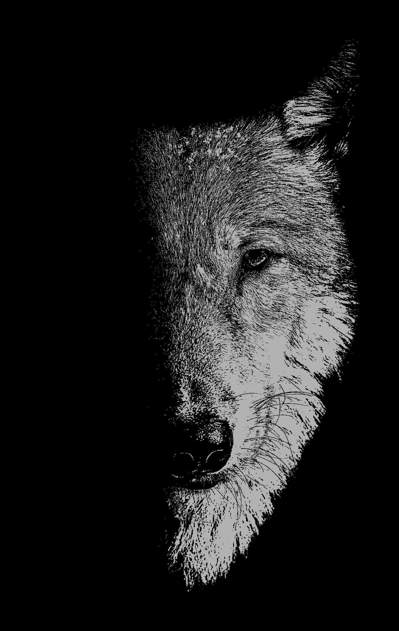 Cover image for In the company of wolves ISBN 9781526171979