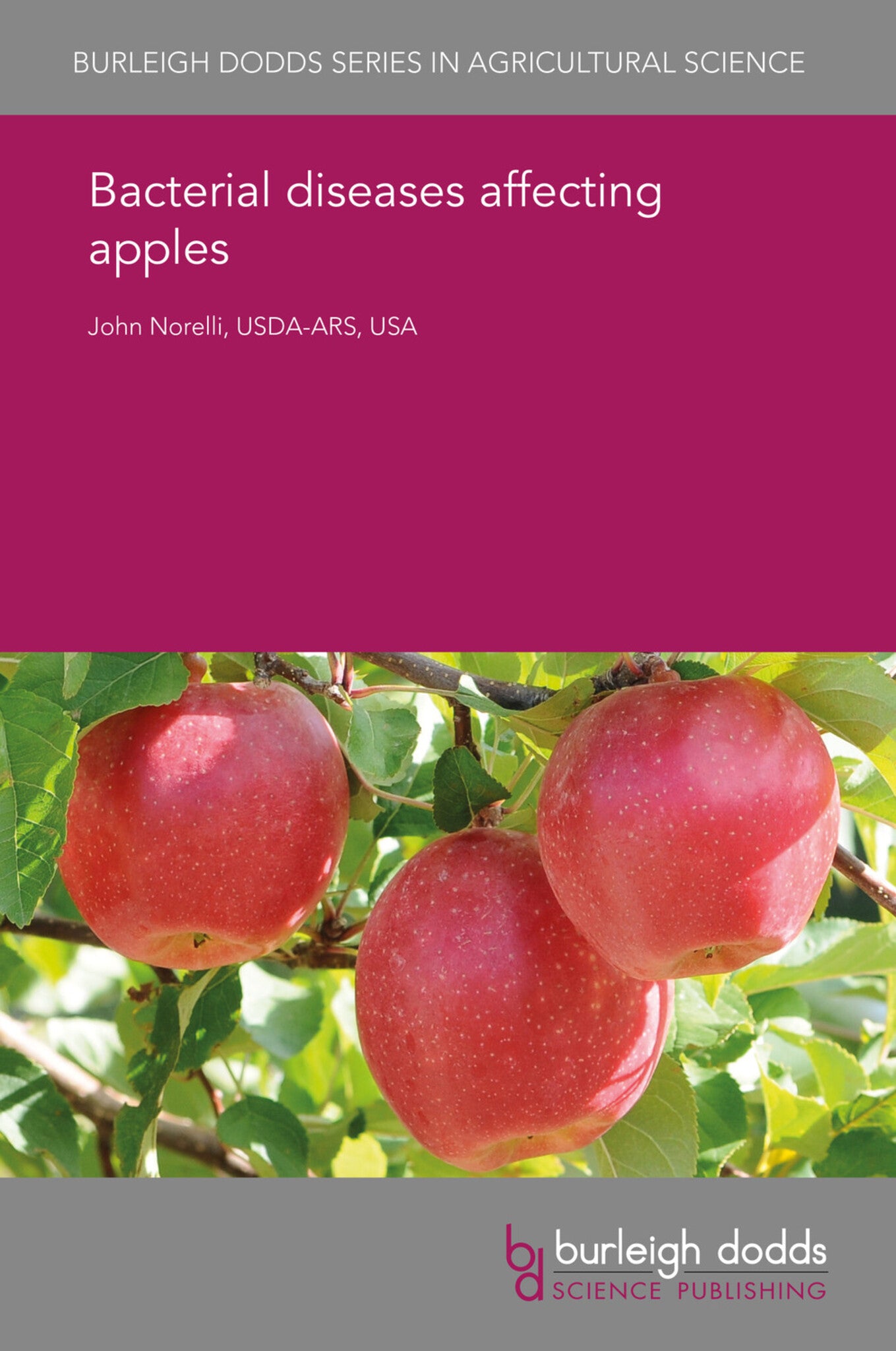 Bacterial diseases affecting apples
