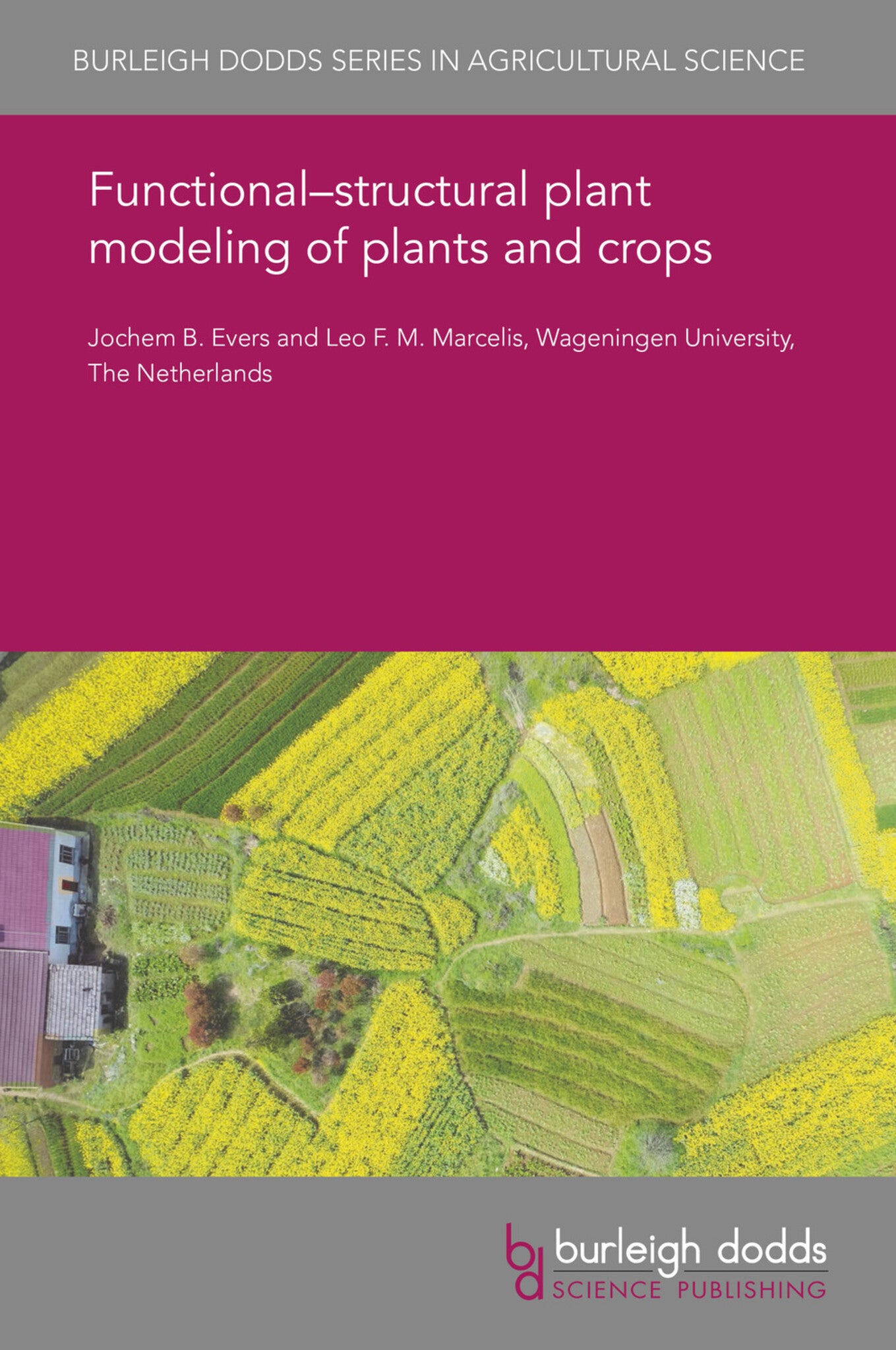 Functional–structural plant modeling of plants and crops