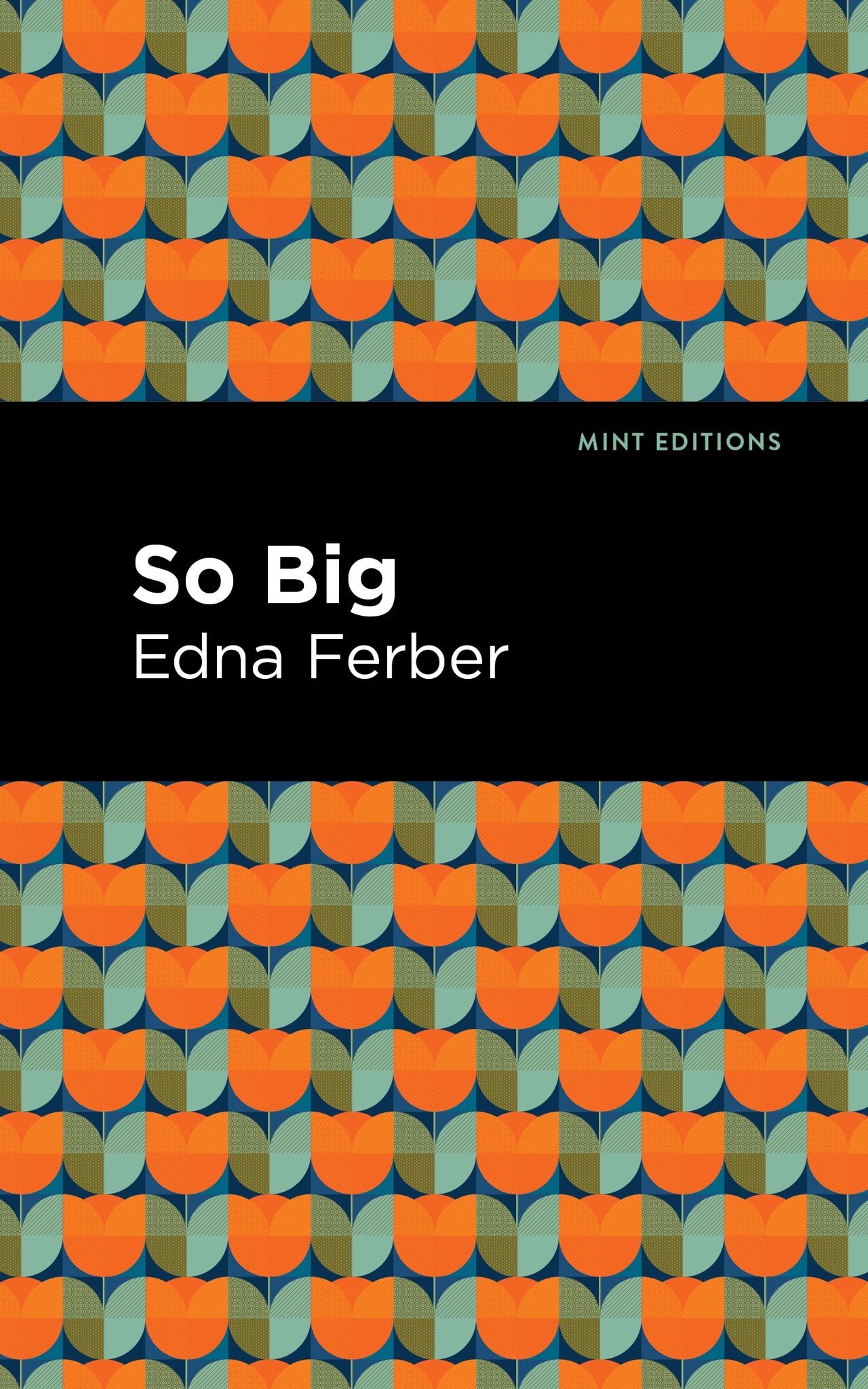 Cover image for So Big ISBN 9781513208503
