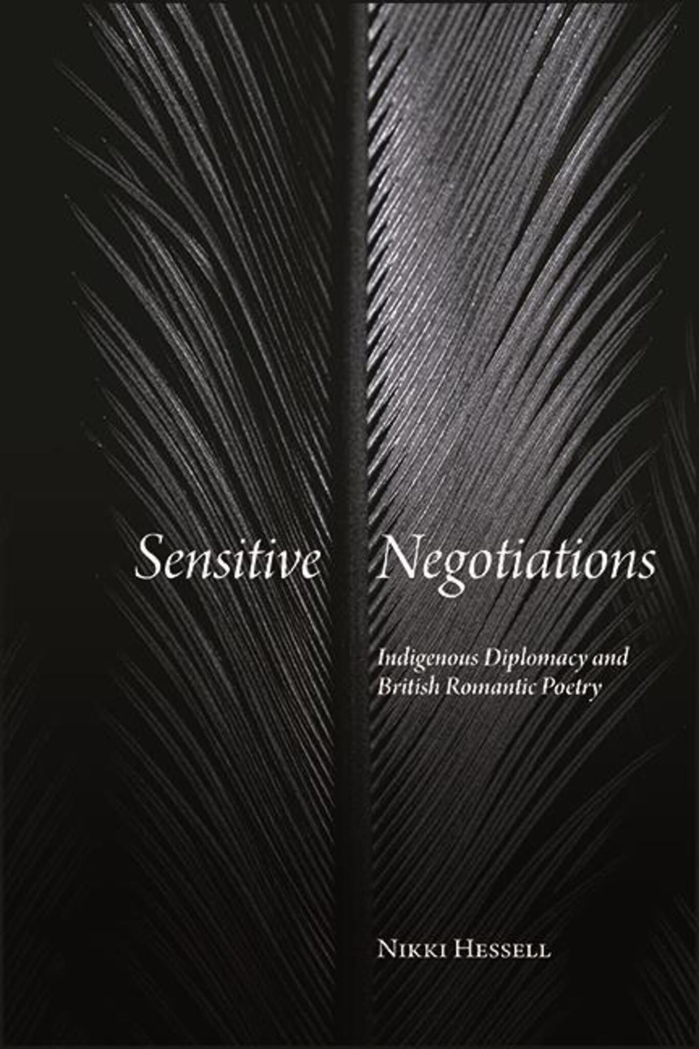 Cover image for Sensitive Negotiations ISBN 9781438484778