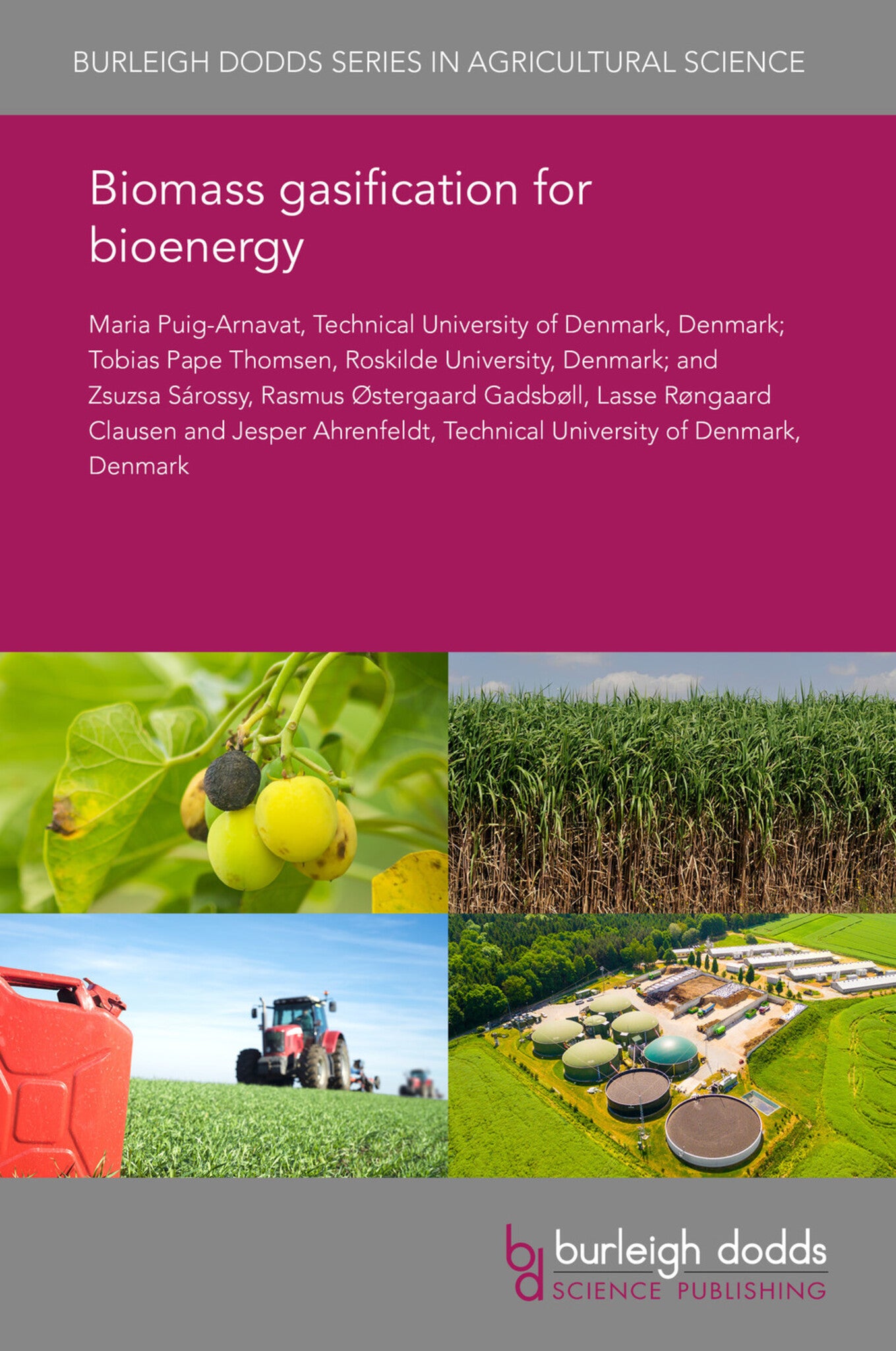 Biomass gasification for bioenergy