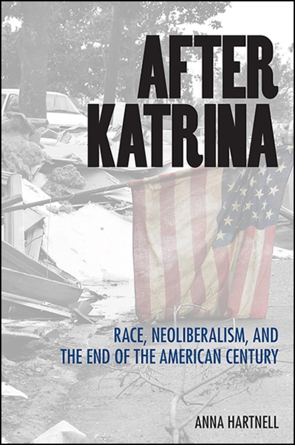 Cover image for After Katrina ISBN 9781438464176