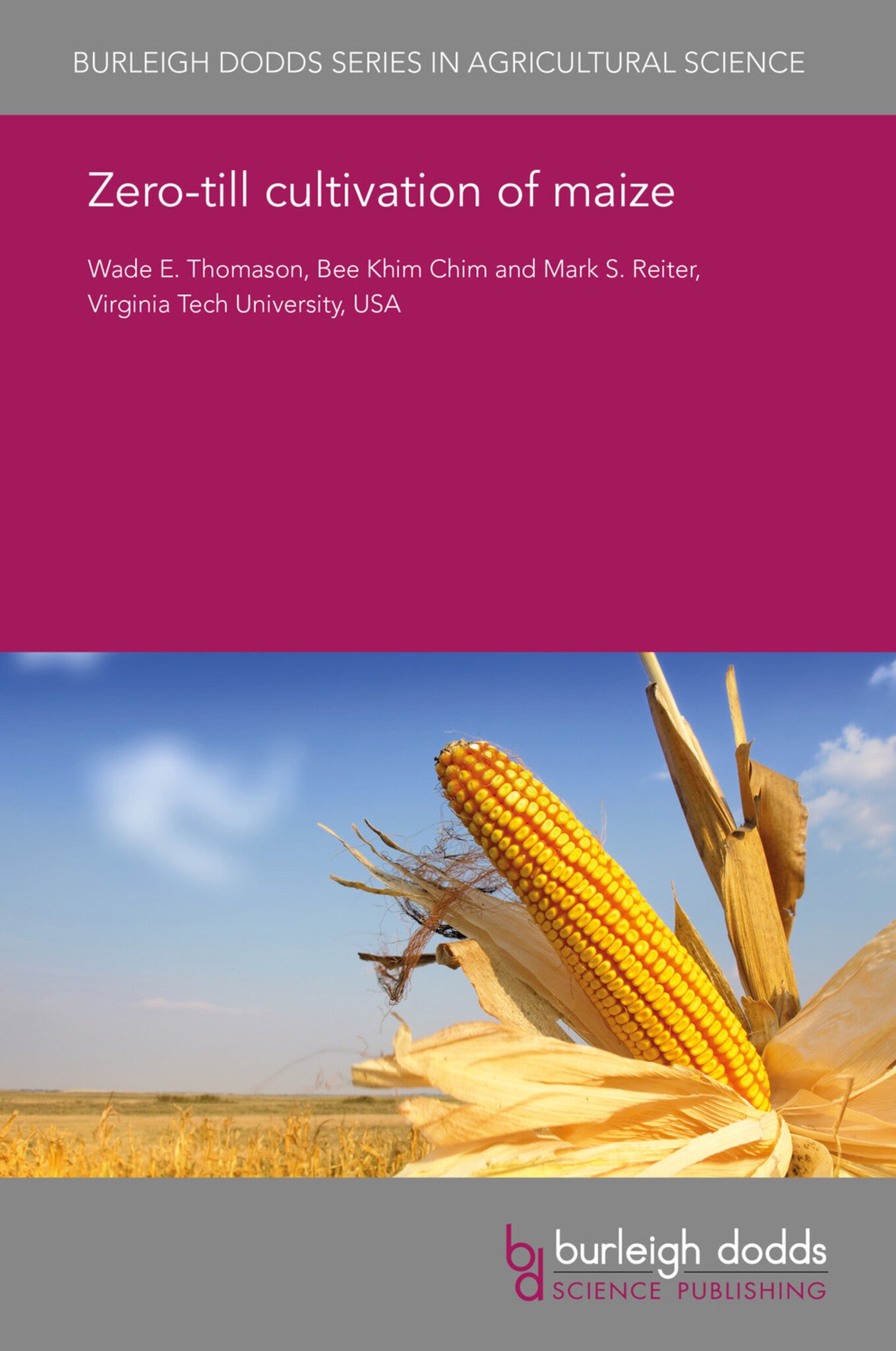 Zero-tillage cultivation of maize