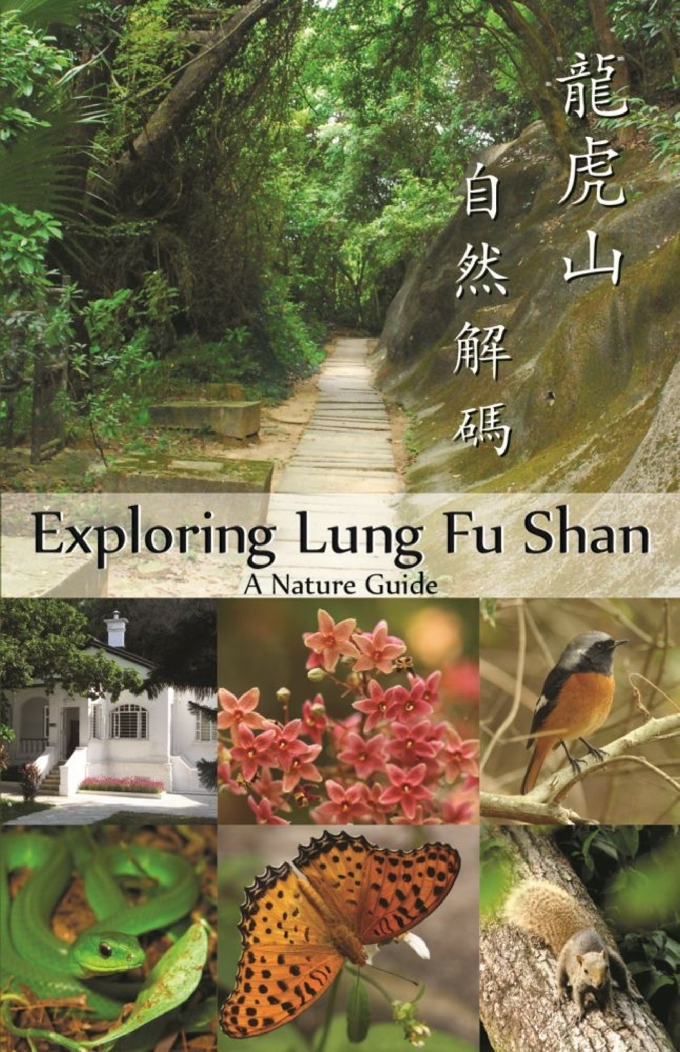 Exploring Lung Fu Shan