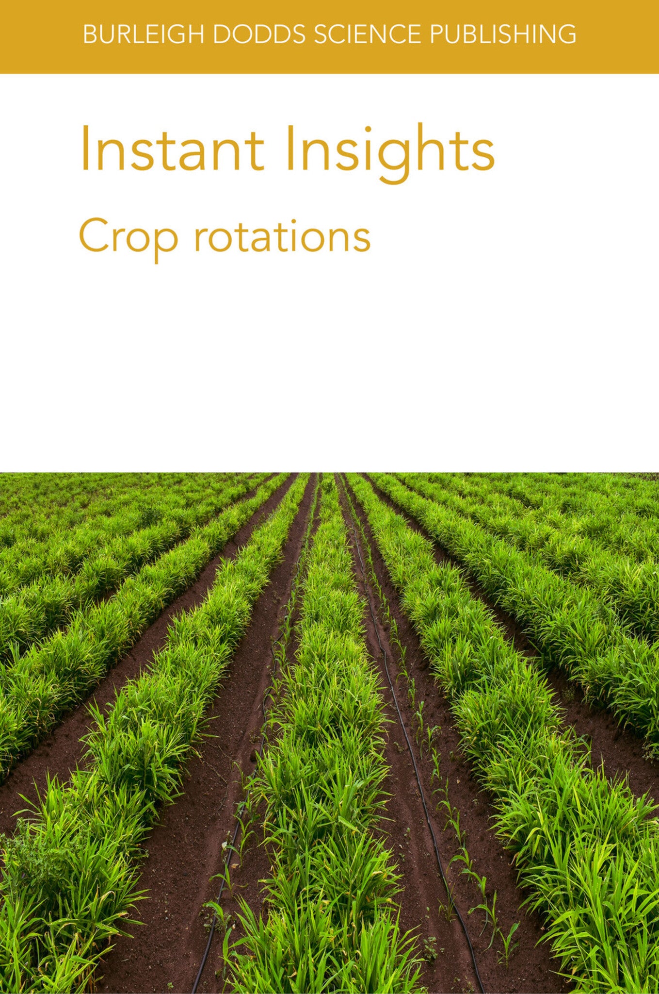 Instant Insights: Crop rotations