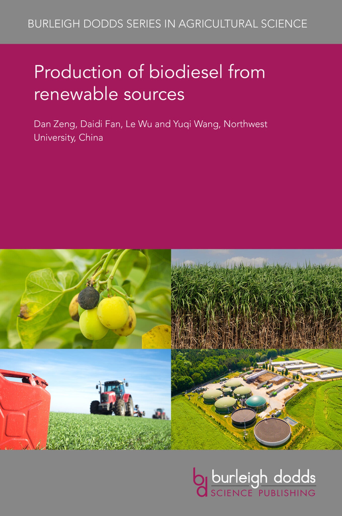 Production of biodiesel from renewable sources