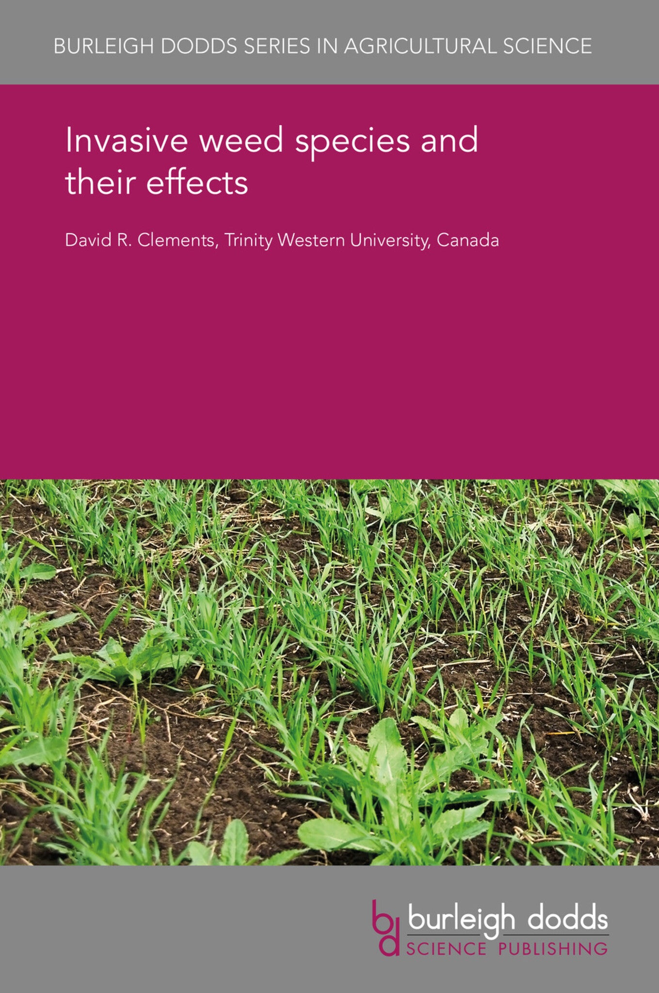Invasive weed species and their effects