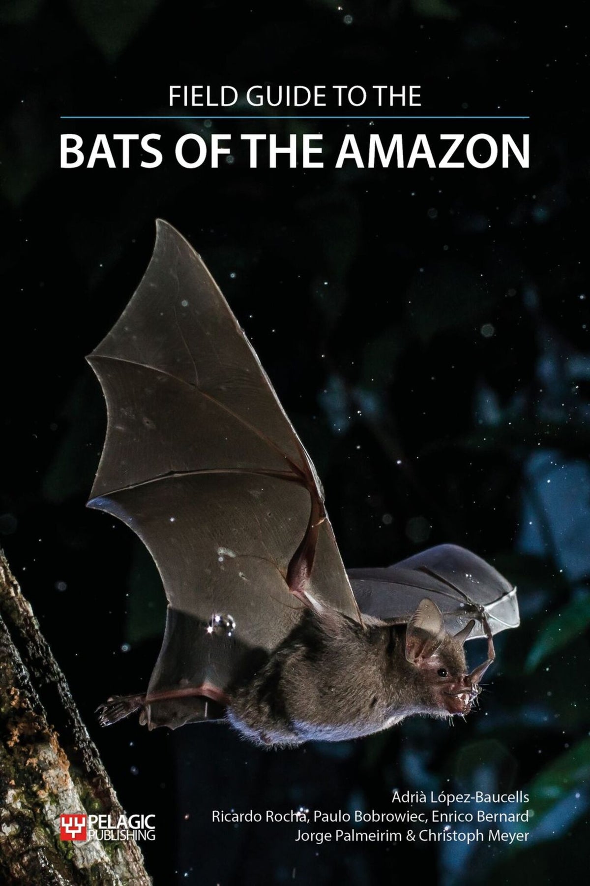 Cover image for Field Guide to the Bats of the Amazon ISBN 9781784271657