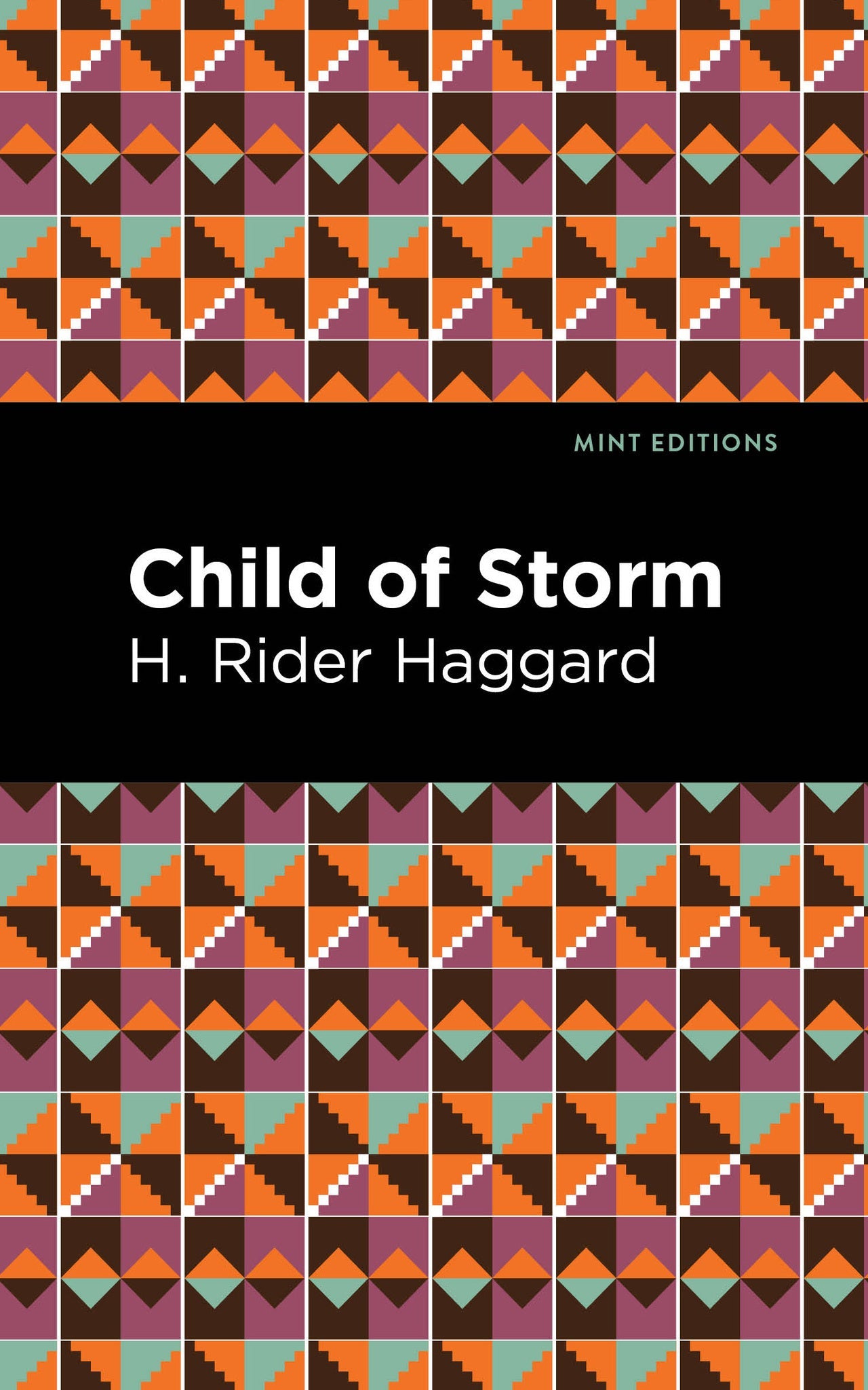 Cover image for Child of Storm ISBN 9781513207803