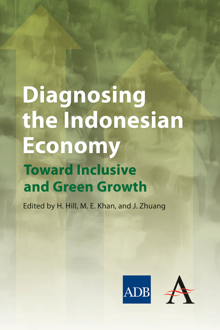 Cover image for Diagnosing the Indonesian Economy ISBN 9781783080526
