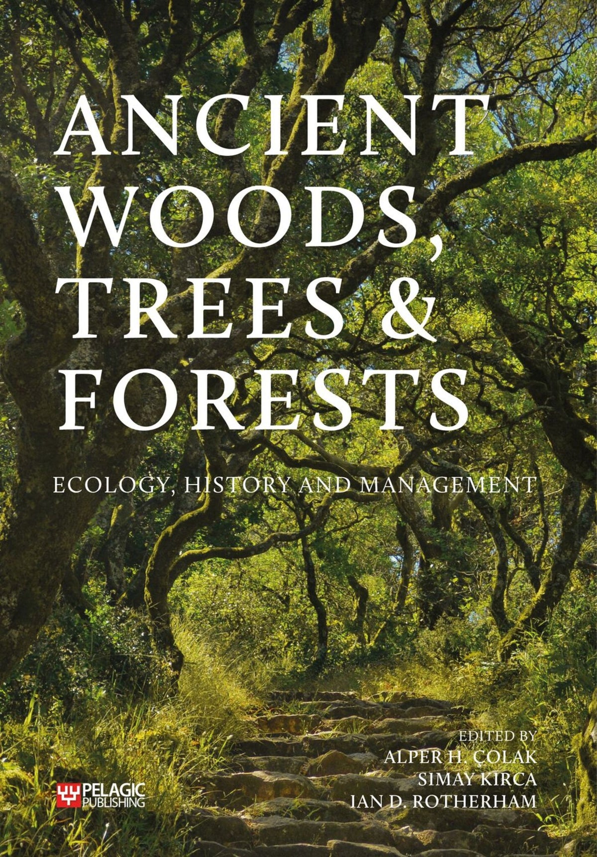 Cover image for Ancient Woods, Trees and Forests ISBN 9781784272661