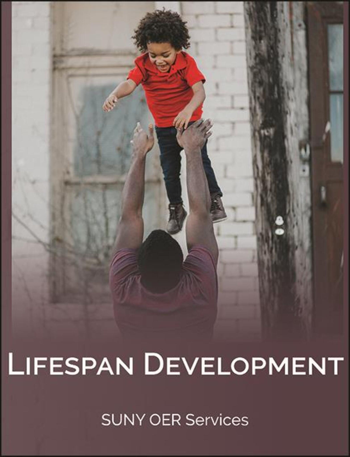 Cover image for Lifespan Development ISBN 9781641760744