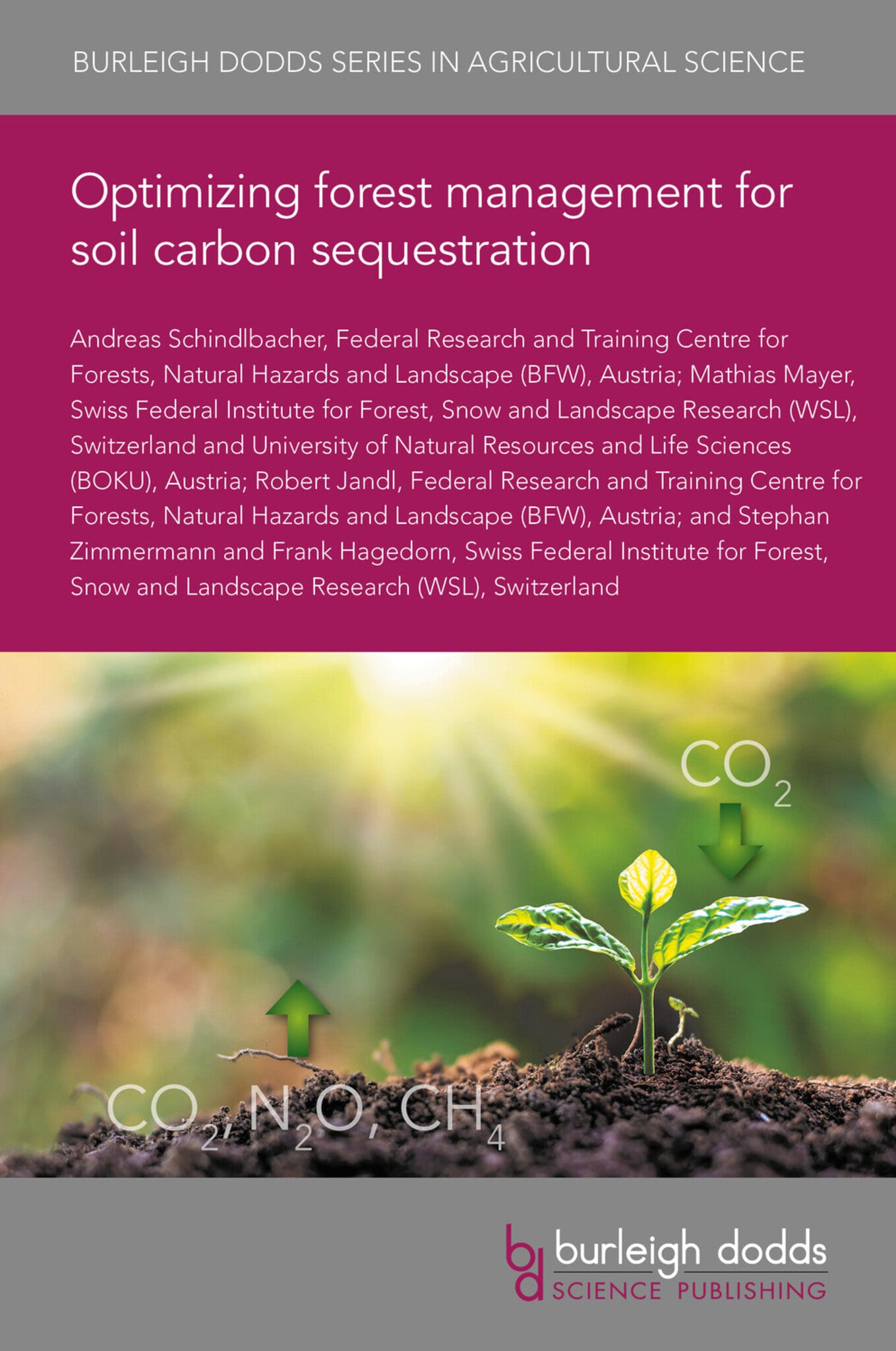 Optimizing forest management for soil carbon sequestration