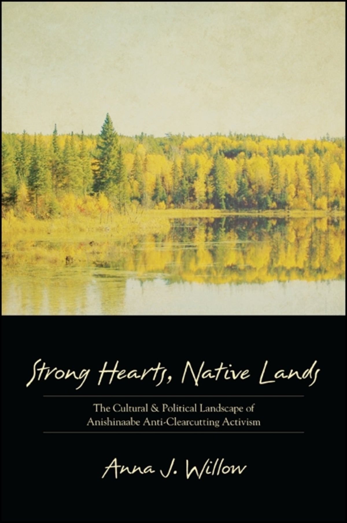 Cover image for Strong Hearts, Native Lands ISBN 9781438442037
