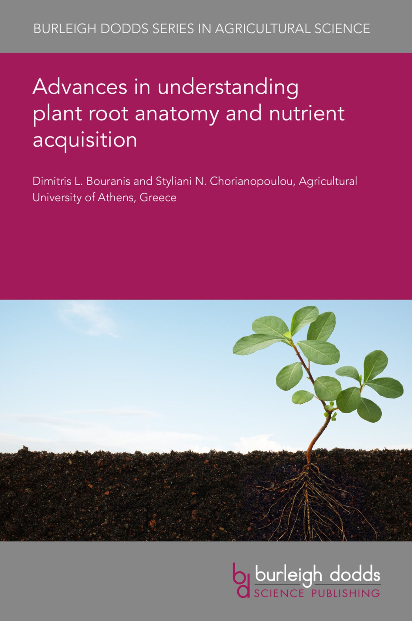 Advances in understanding plant root anatomy and nutrient acquisition