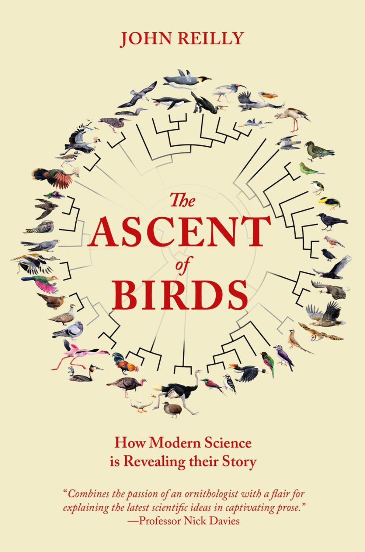 Cover image for The Ascent of Birds ISBN 9781784272036