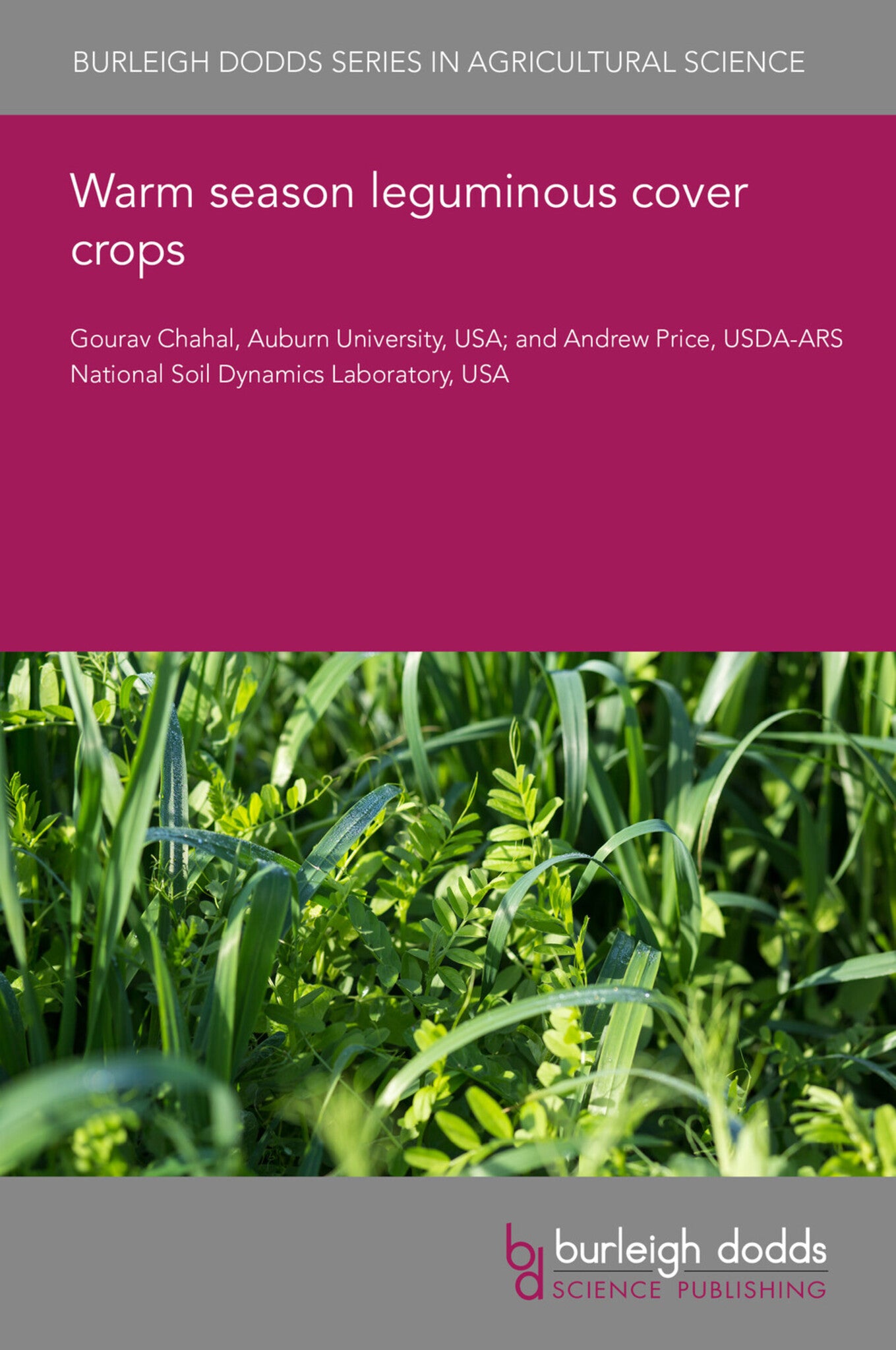 Warm season leguminous cover crops