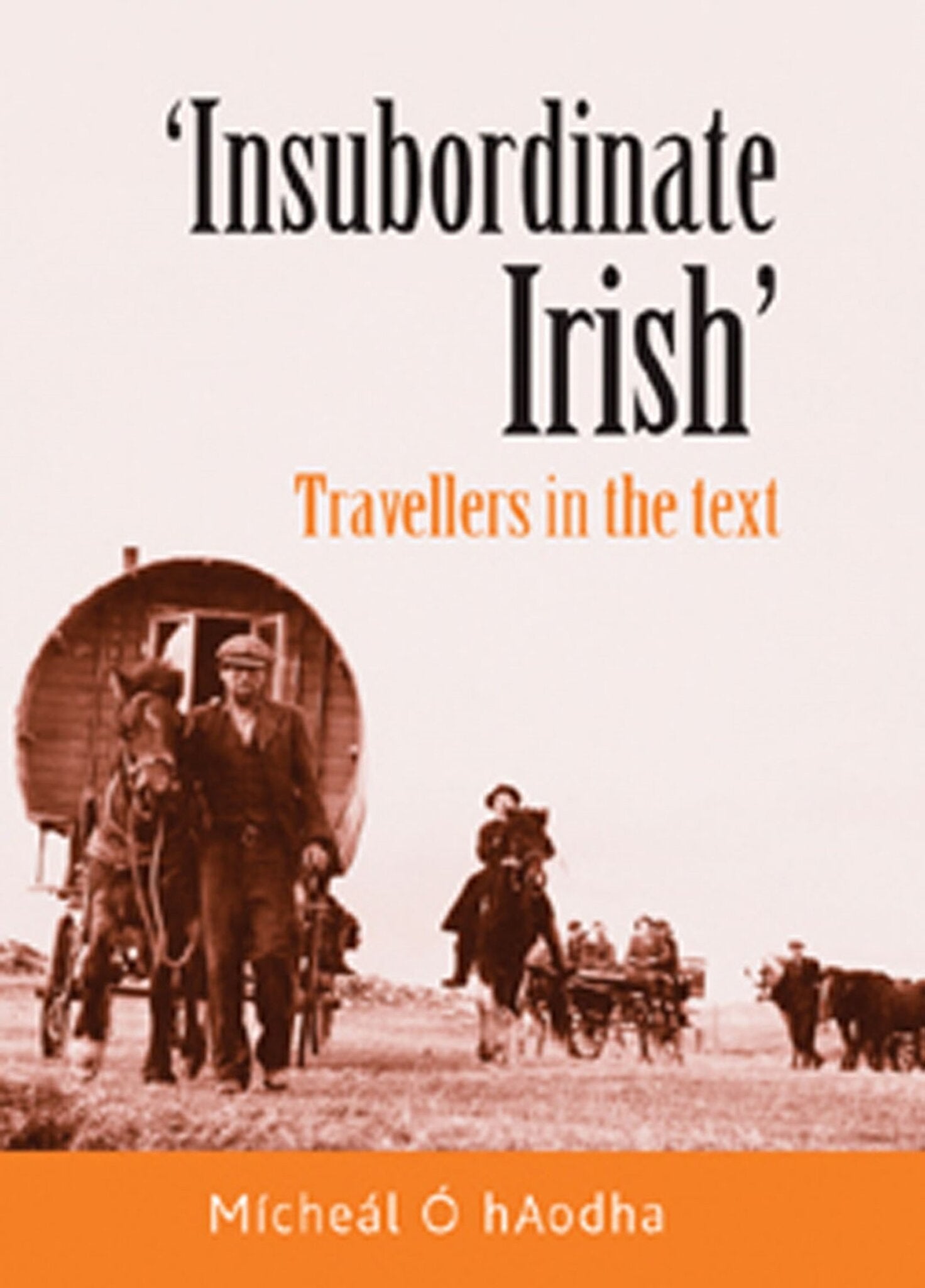 Cover image for ‘Insubordinate Irish‘ ISBN 9780719083044