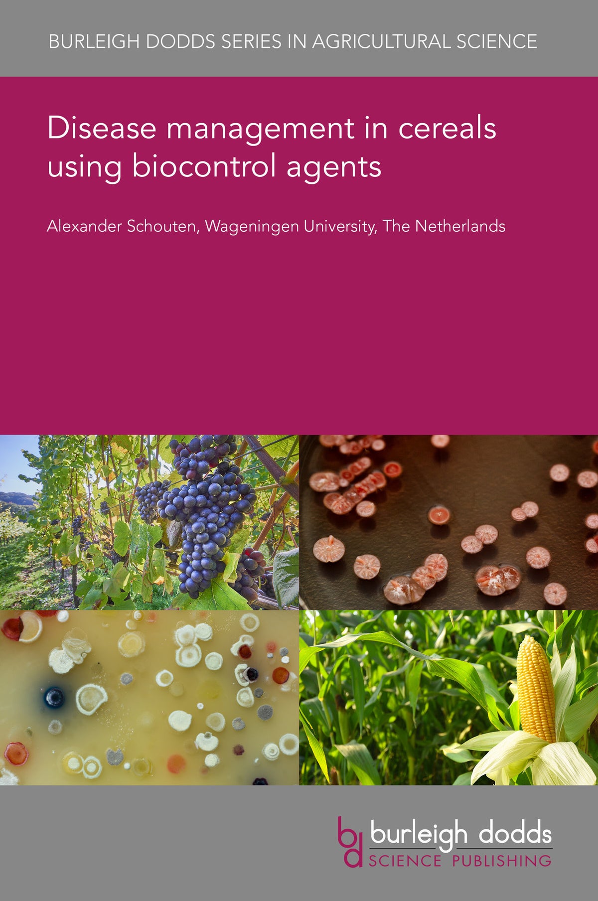 Cover image for Disease management in cereals using biocontrol agents ISBN 9781835454602