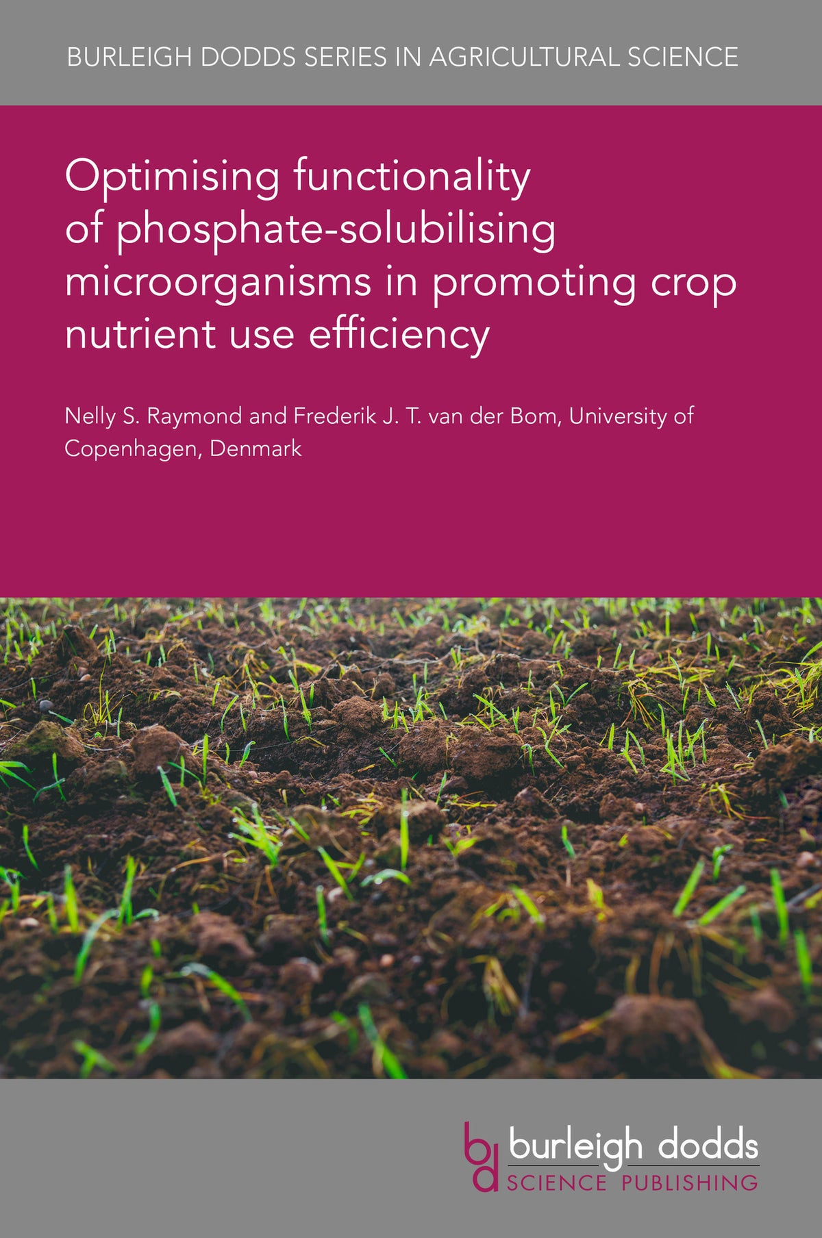 Optimising functionality of phosphate-solubilising microorganisms in promoting crop nutrient use efficiency