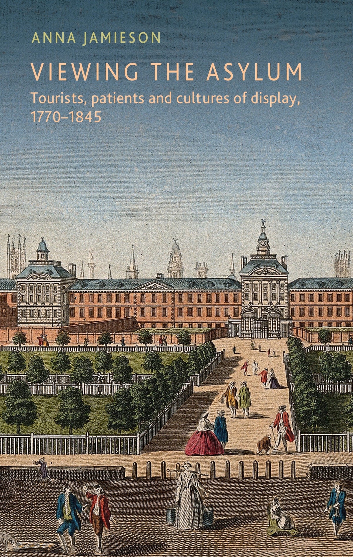 Cover image for Viewing the asylum ISBN 9781526183330
