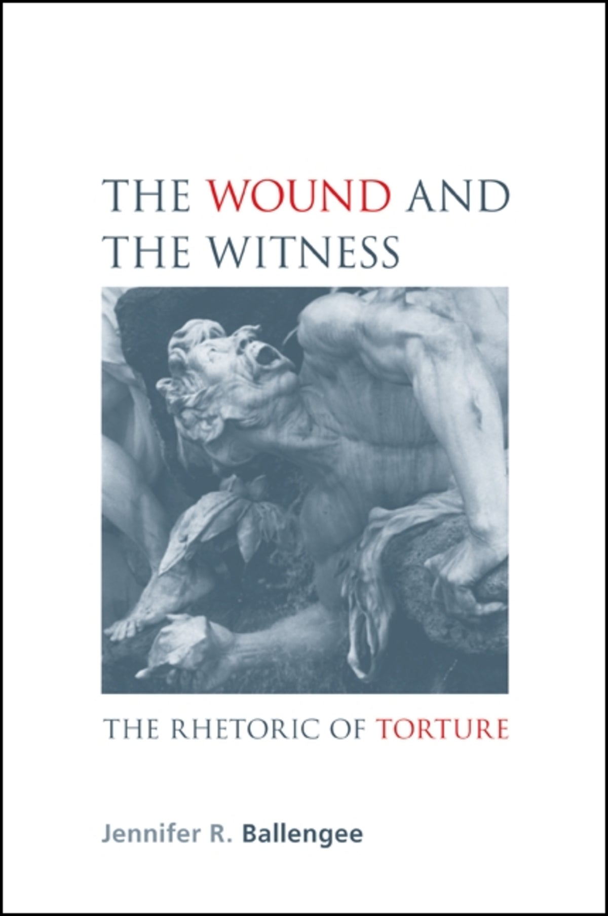 Cover image for The Wound and the Witness ISBN 9781438424910