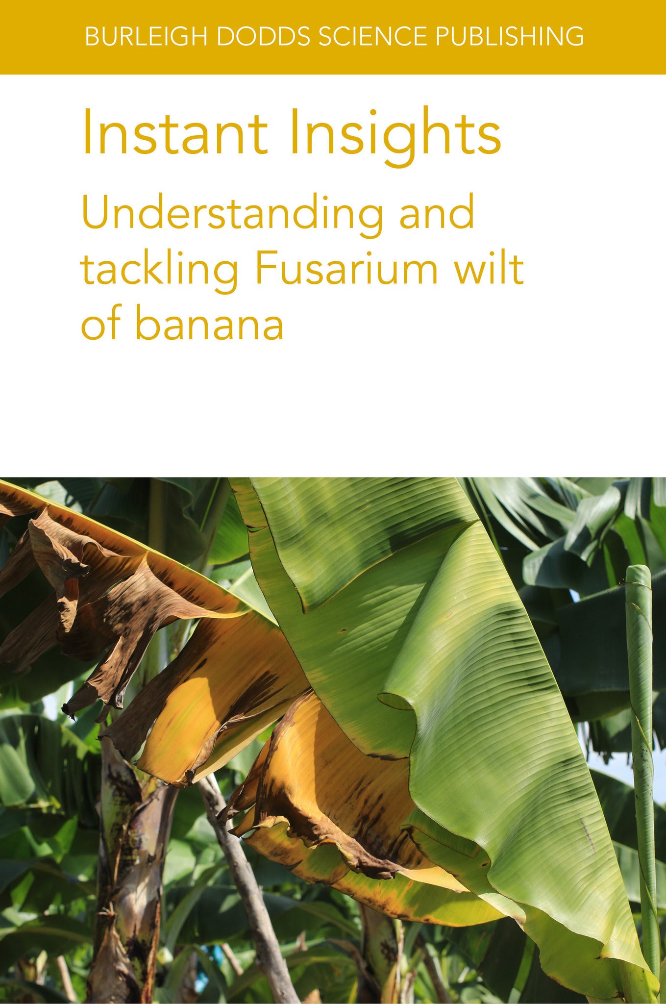 Instant Insights: Understanding and tackling Fusarium wilt of banana