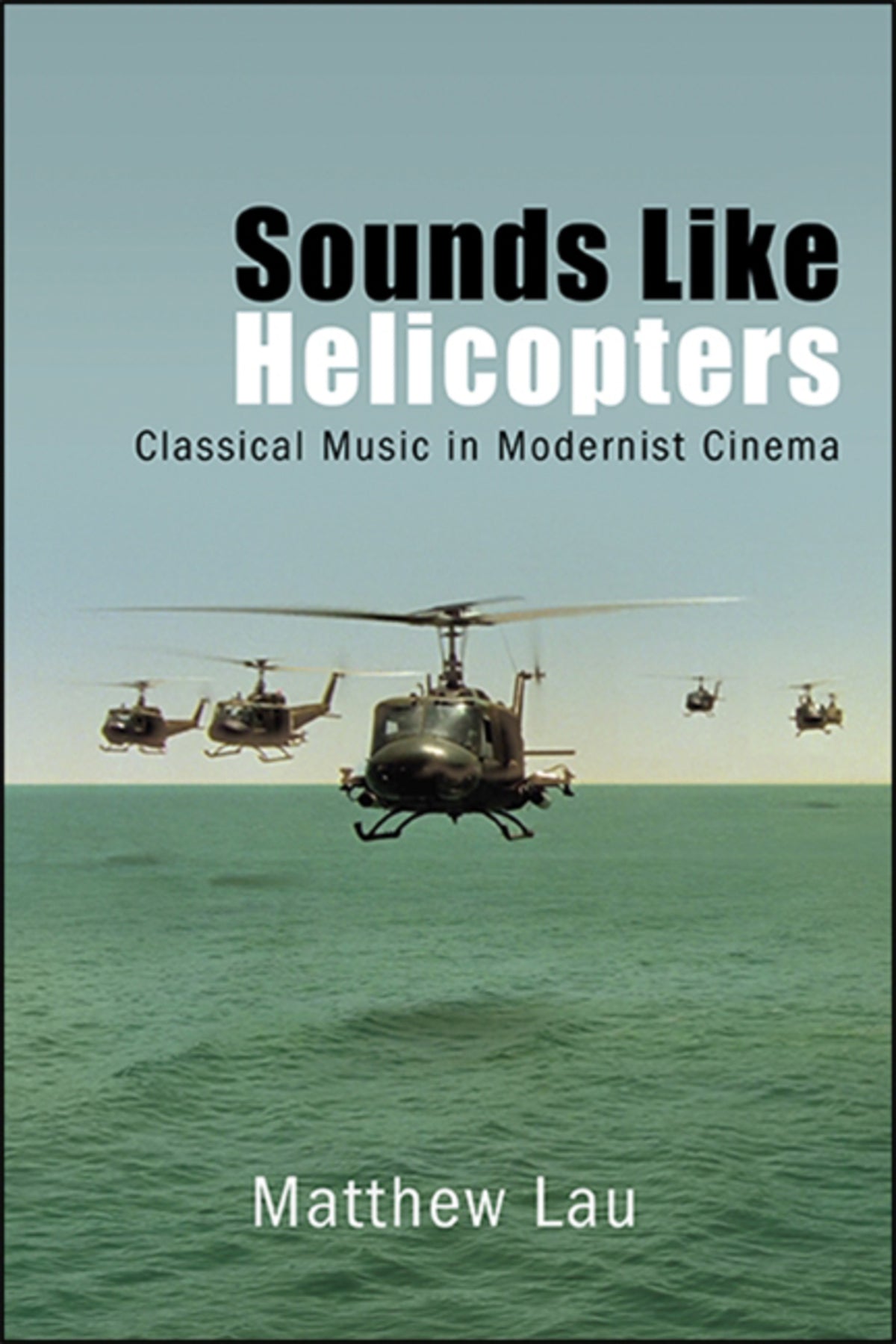 Cover image for Sounds Like Helicopters ISBN 9781438476315