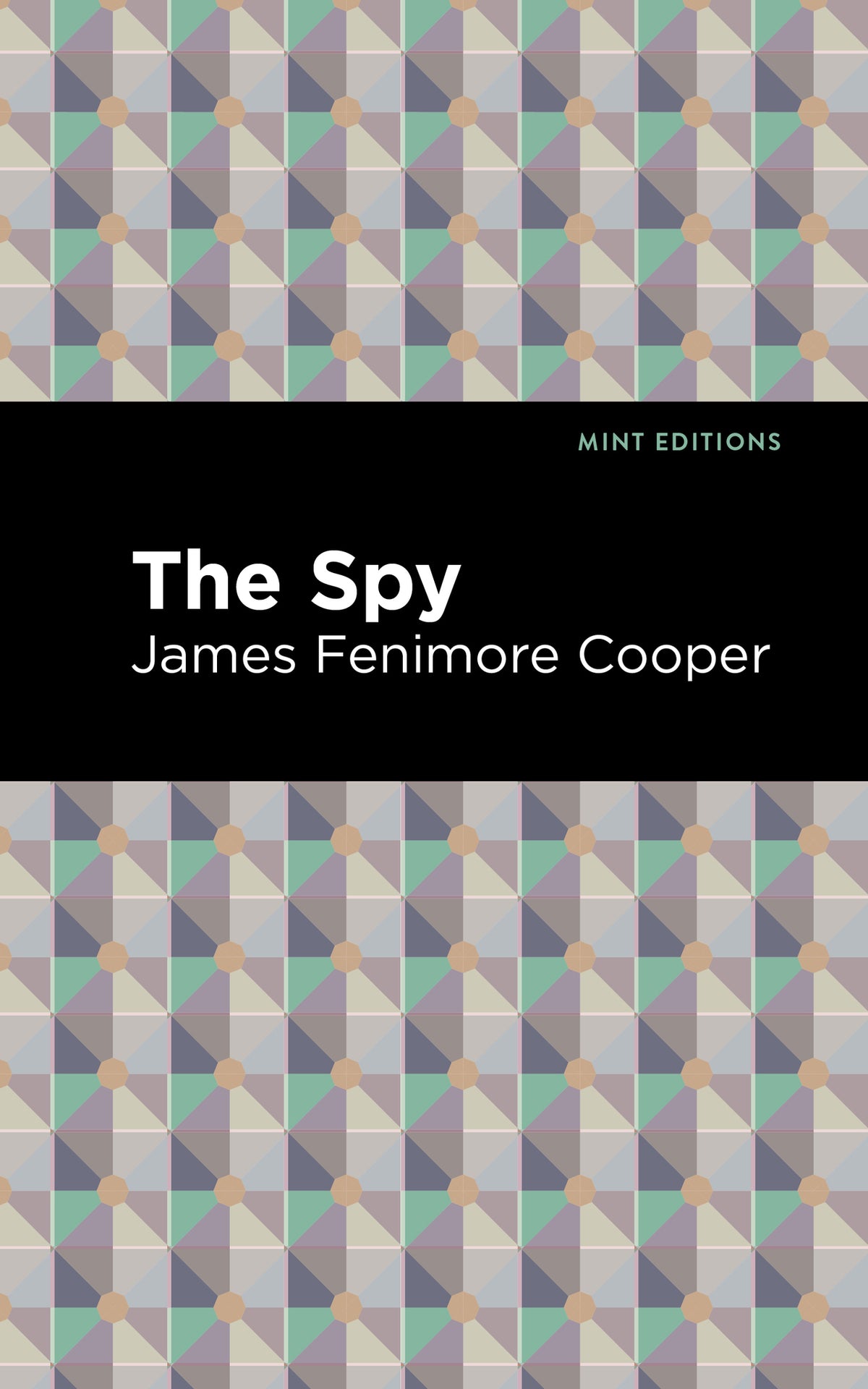 Cover image for The Spy ISBN 9781513205243