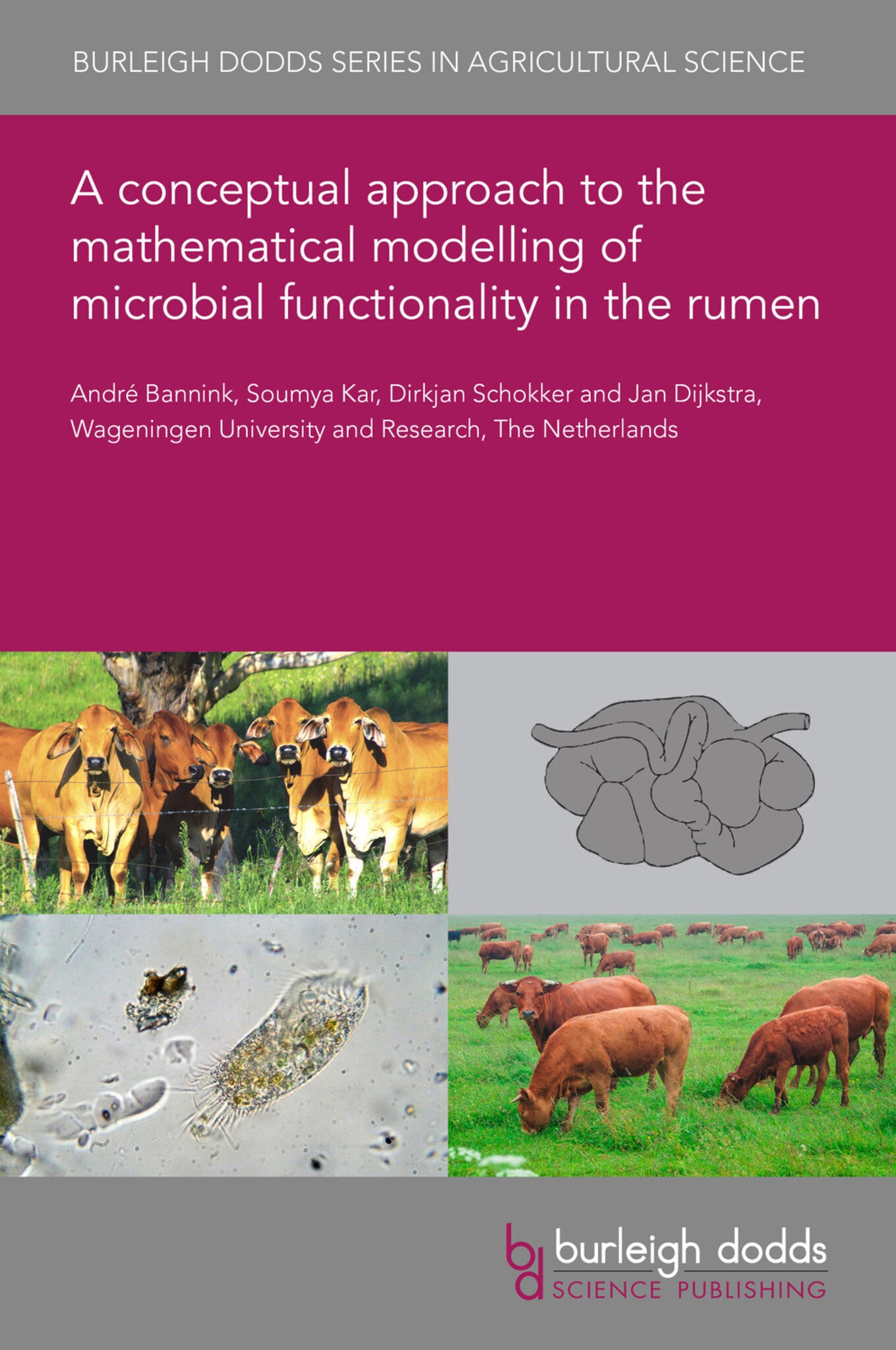 A conceptual approach to the mathematical modelling of microbial functionality in the rumen