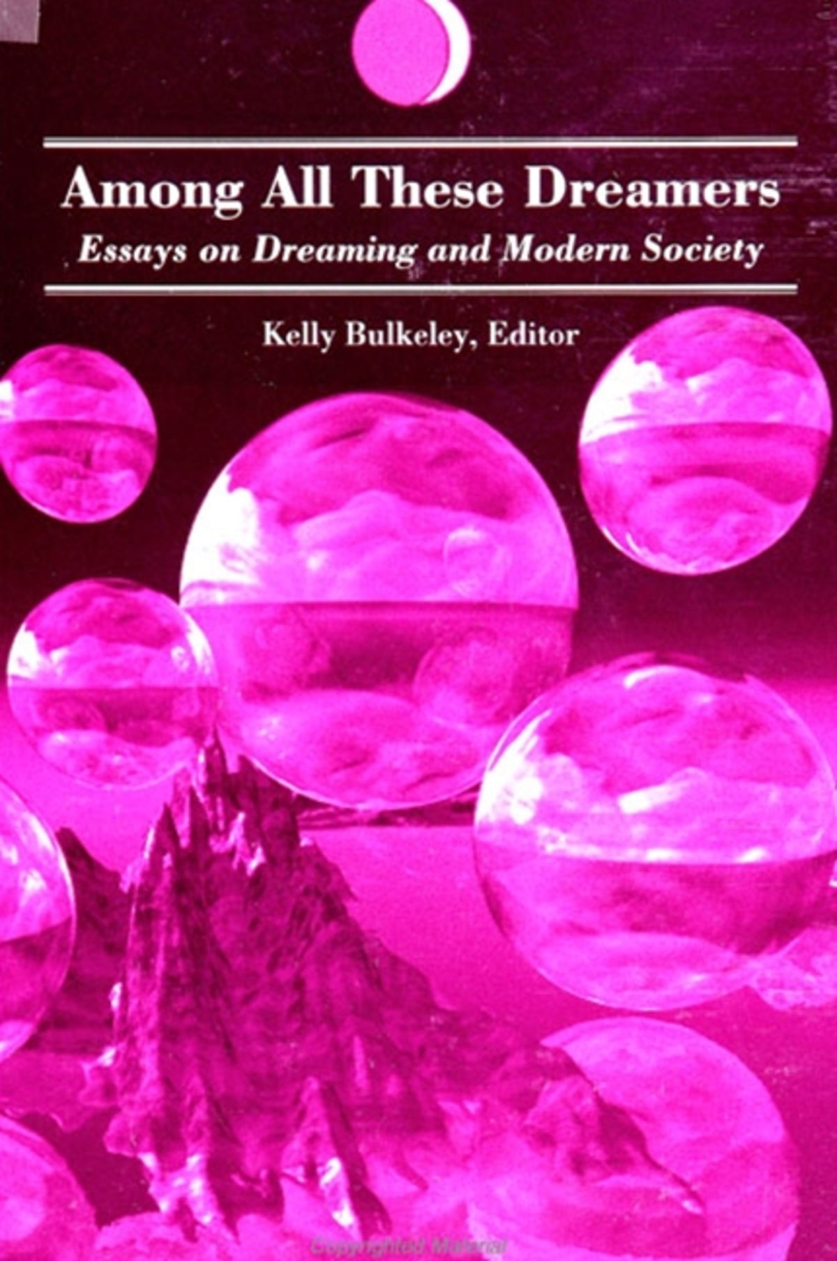 Cover image for Among All These Dreamers ISBN 9780791429303