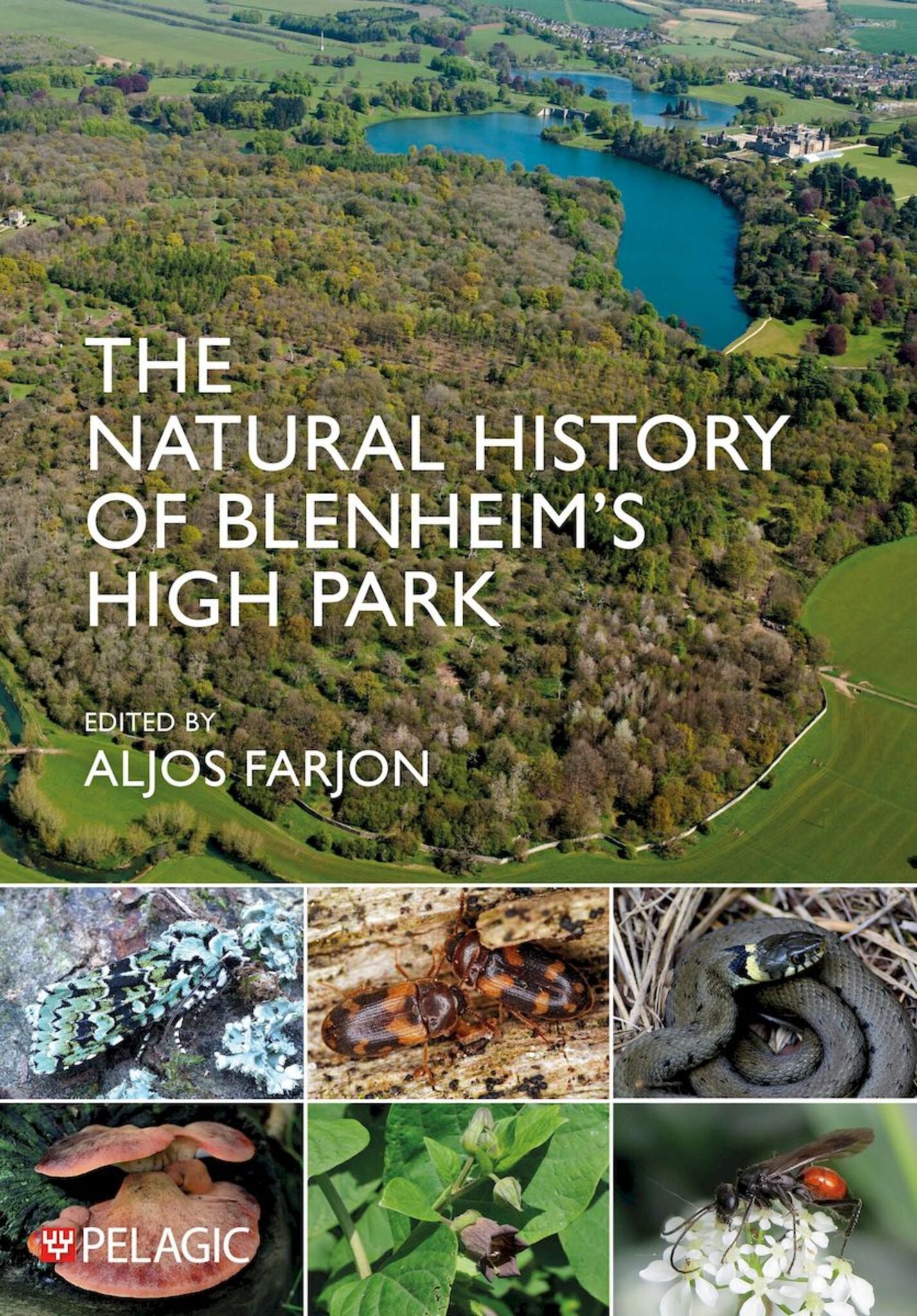 Cover image for The Natural History of Blenheim’s High Park ISBN 9781784274306