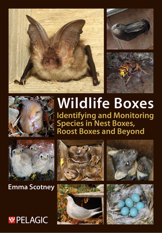 Wildlife Boxes