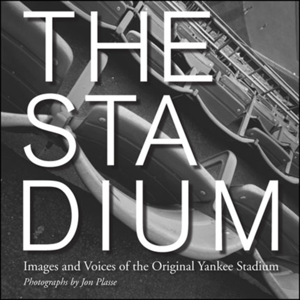 Cover image for The Stadium ISBN 9781438440057